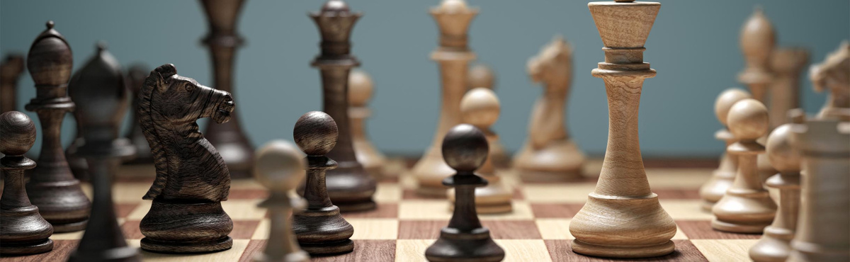 Интервью гроссмейстера и сенатора Сергея Александровича Карякина