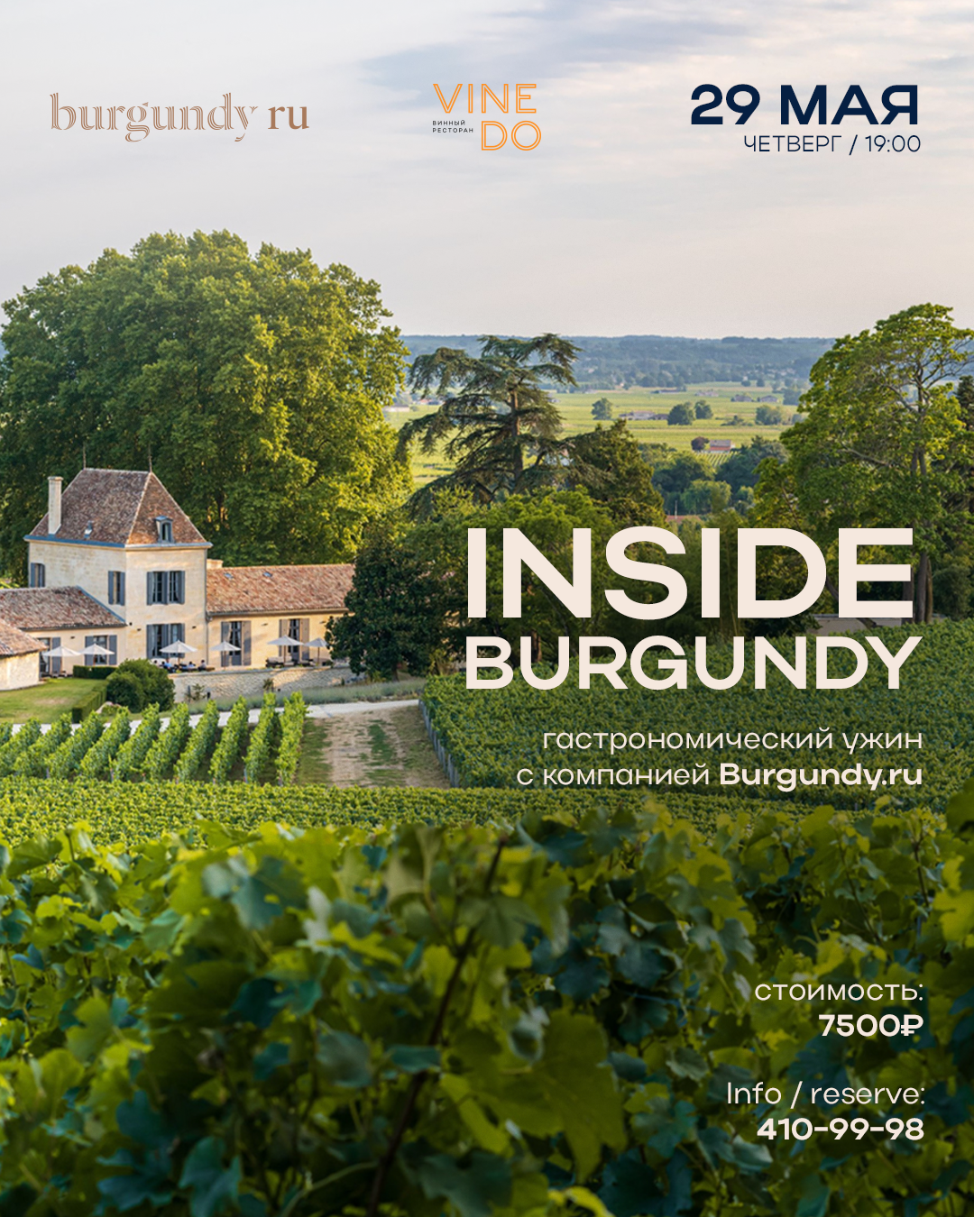 INSIDE BURGUNDY