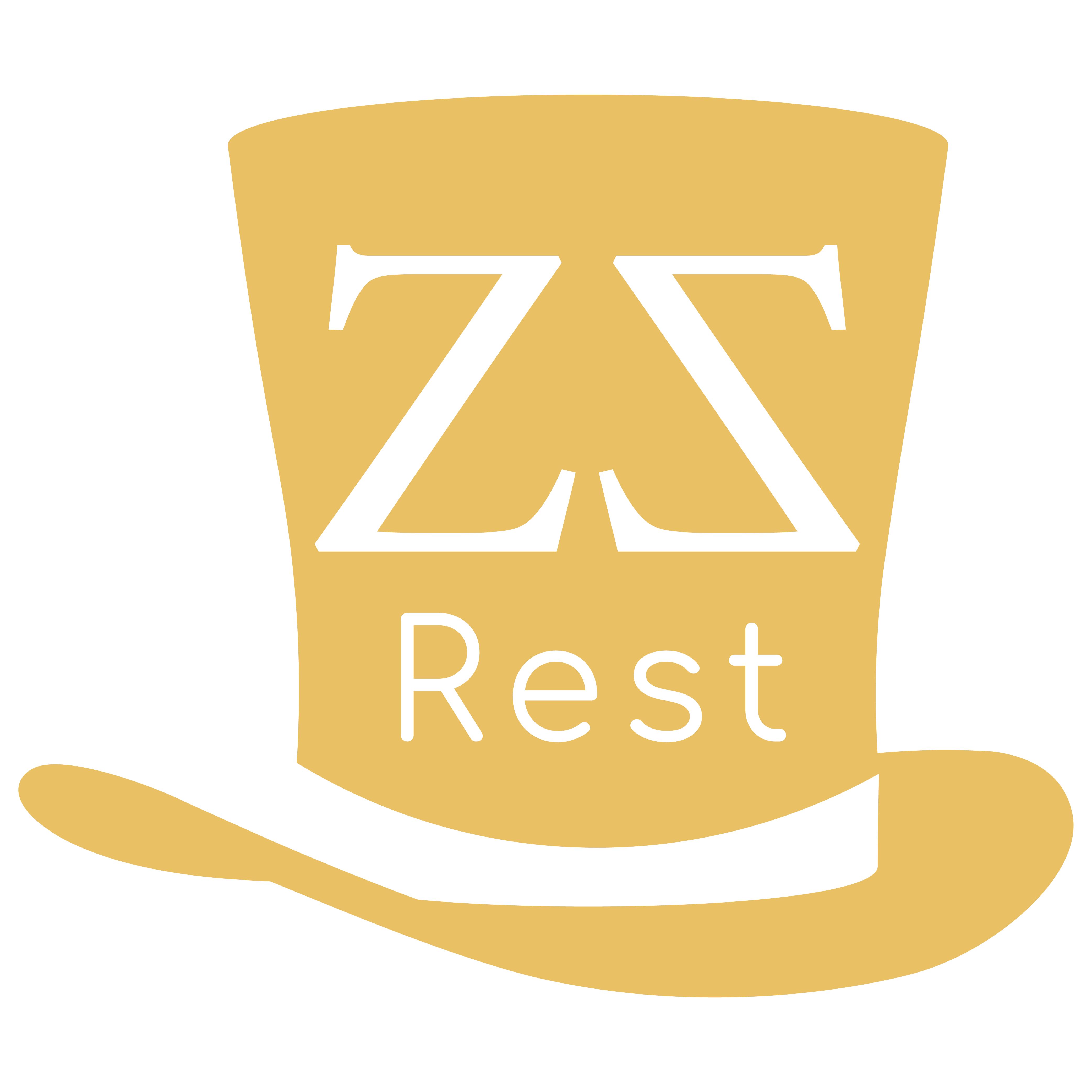 ZZ REST