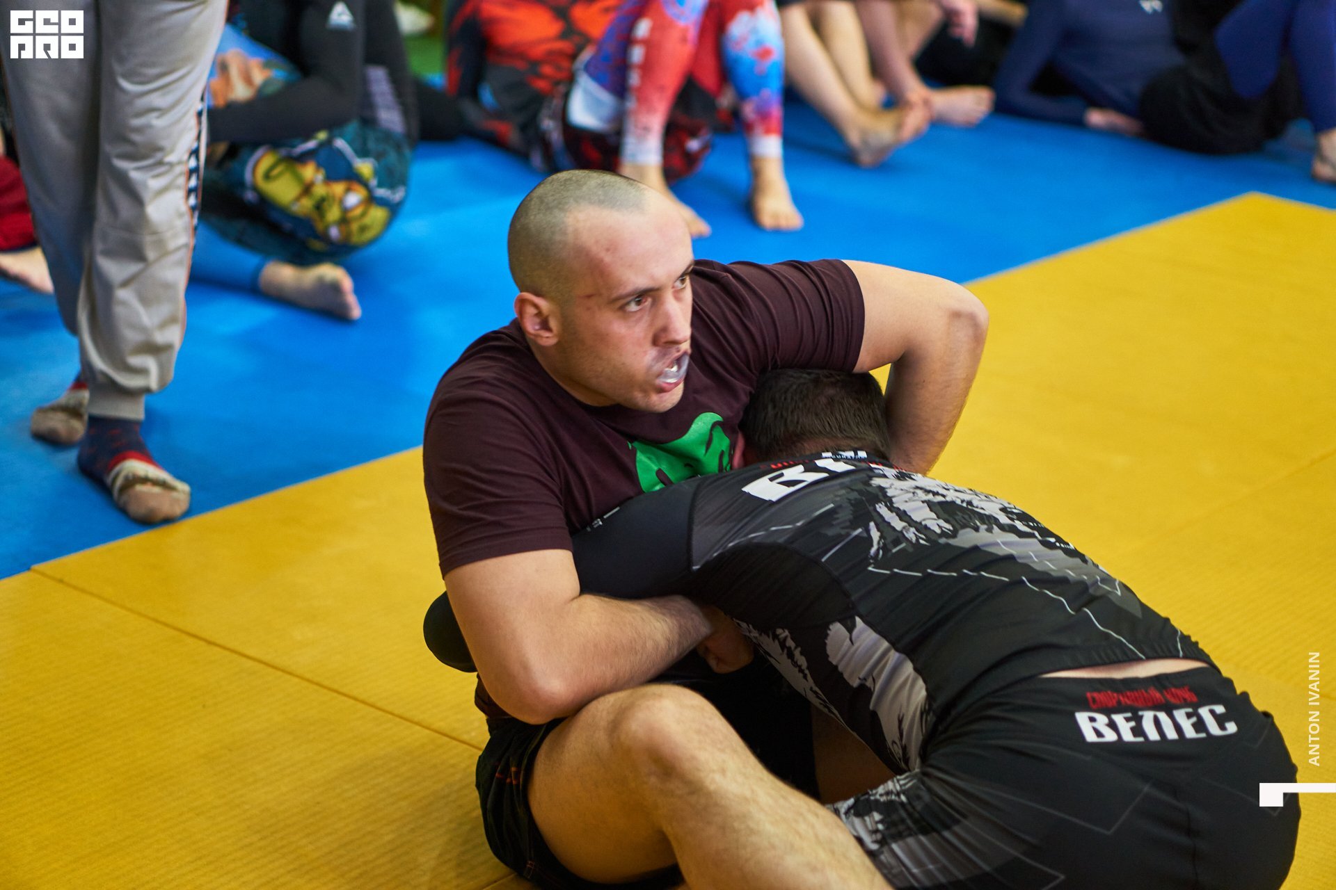 DSC09280 (Копировать).jpg