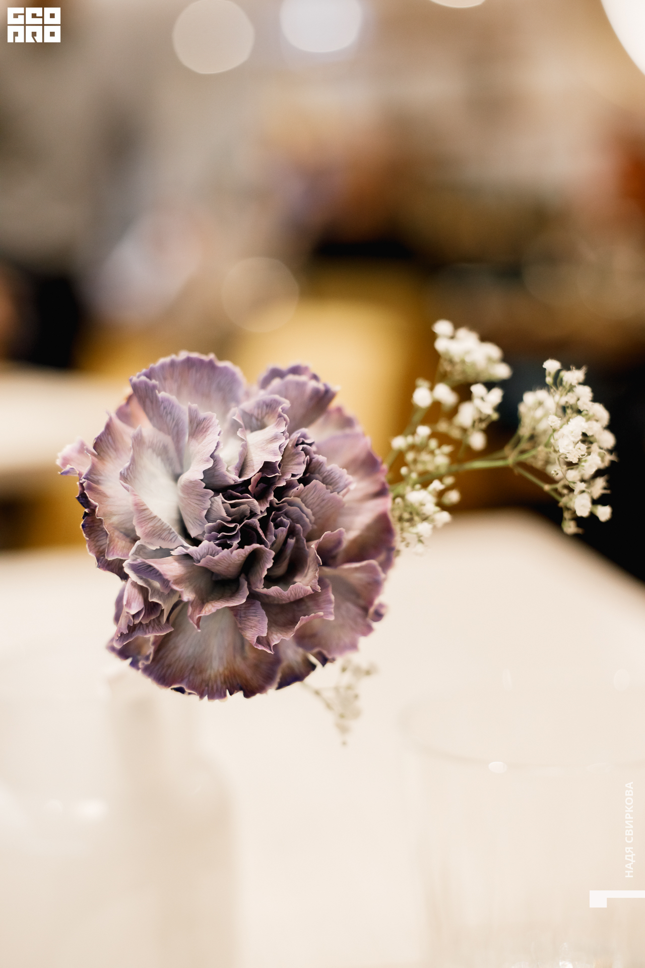 075_21-10-31 ISAEVA.jpg