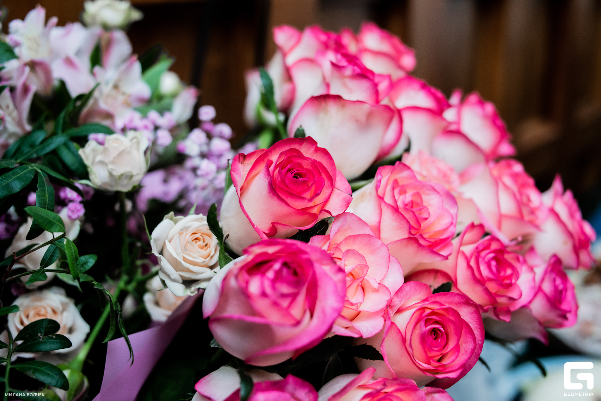 020_20230707 Волчек.jpg