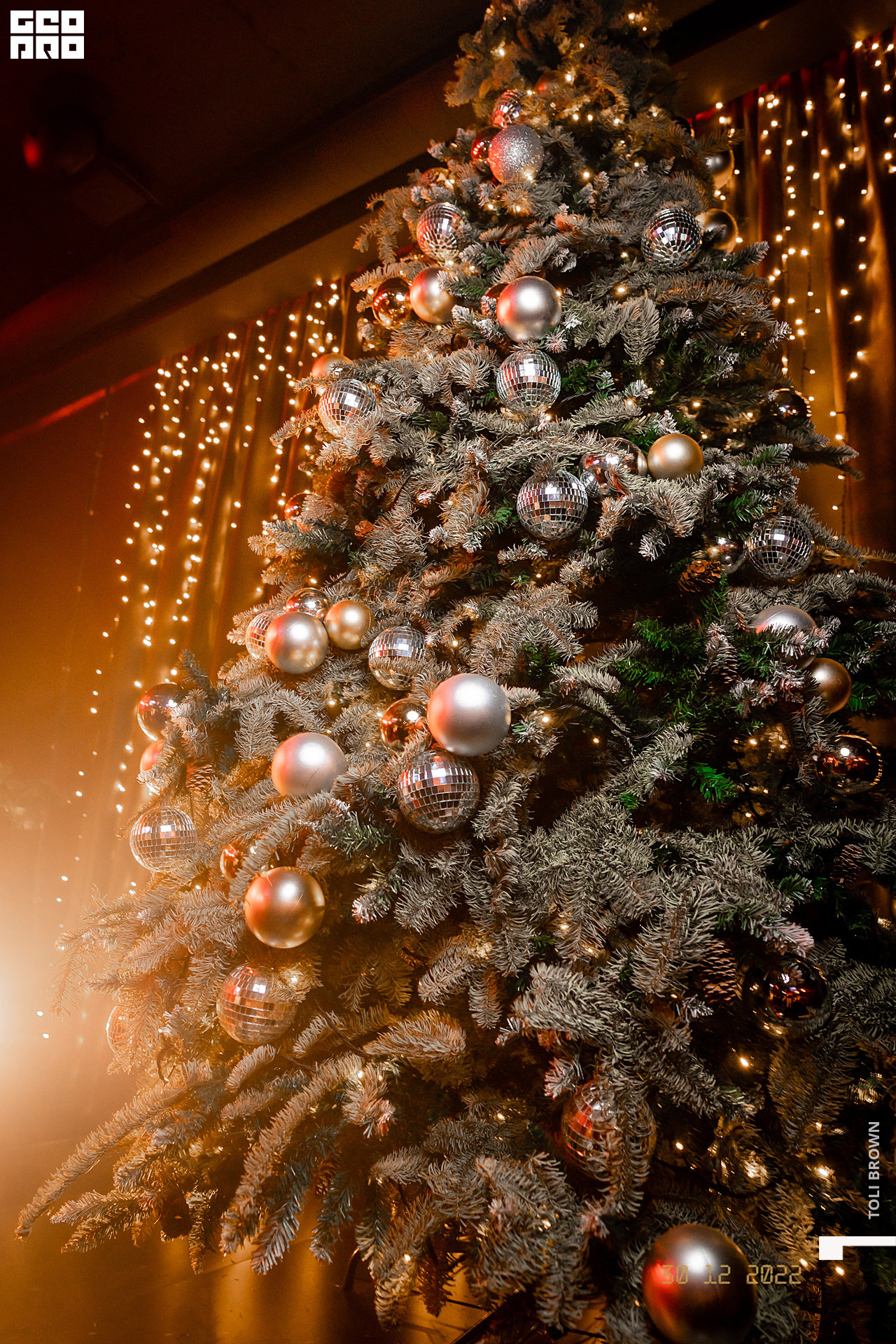 001_2022.12.31_@Toli_Brown.jpg