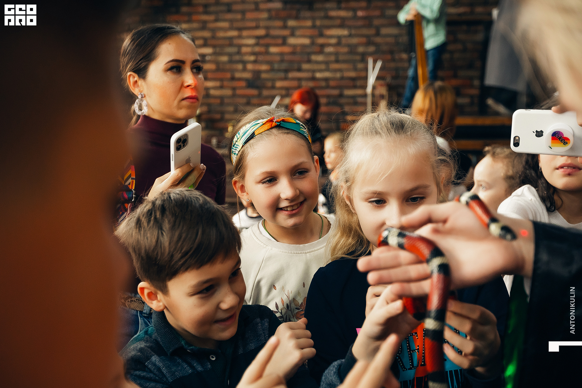 untitled shoot-4512.jpg