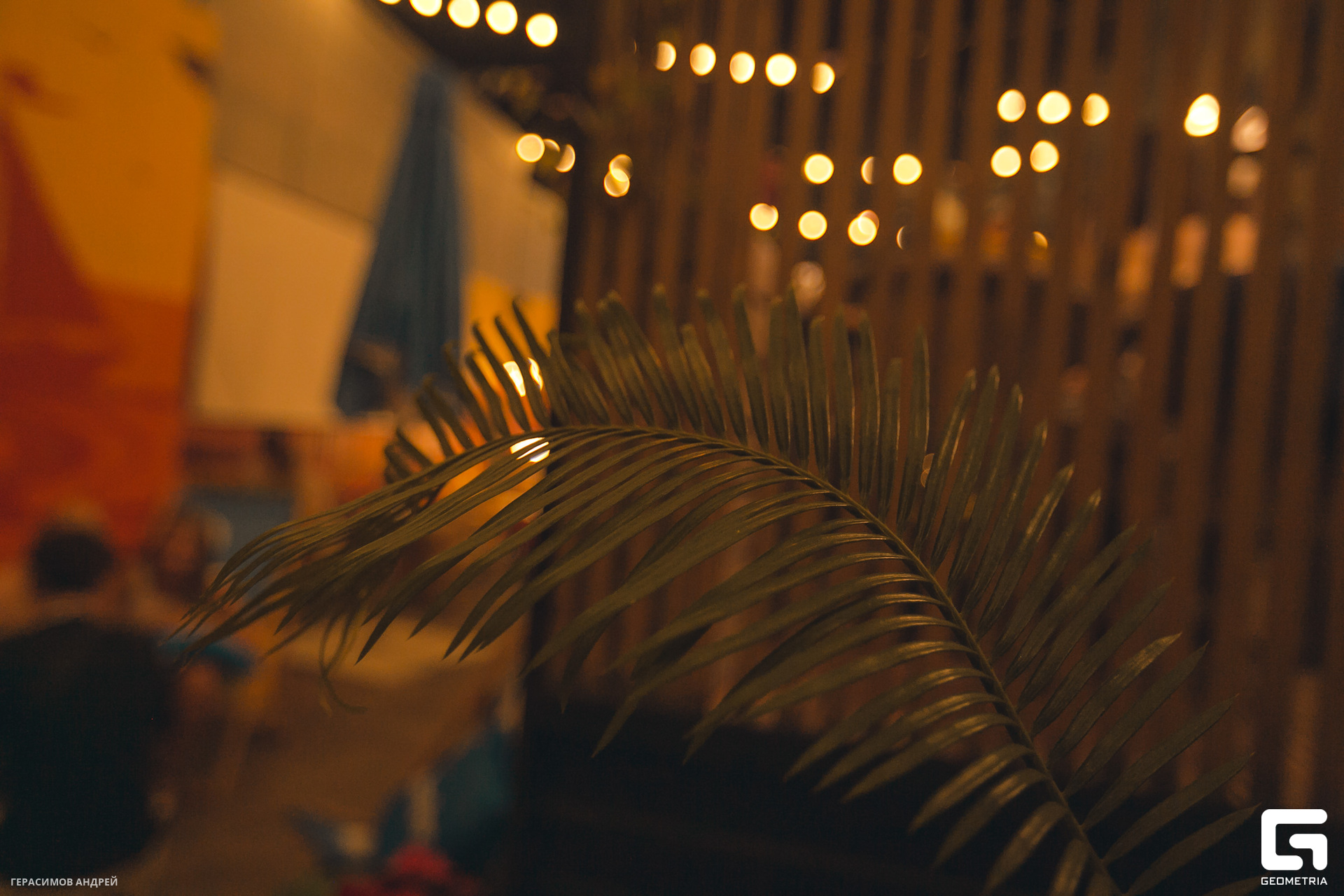 151 Hooknrolla 21.07.jpg