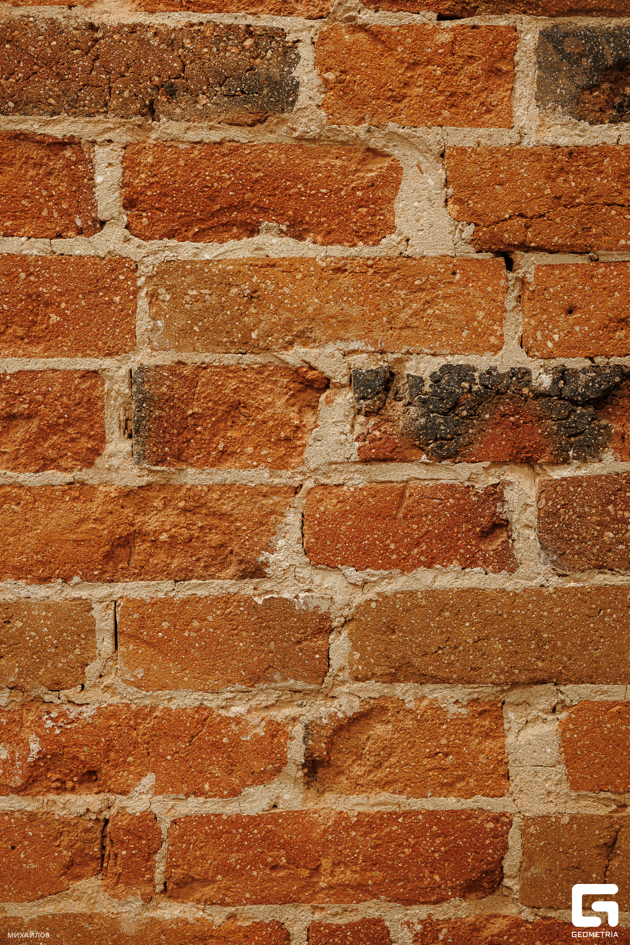 131-202403200950-БКС - Михайлов.jpg