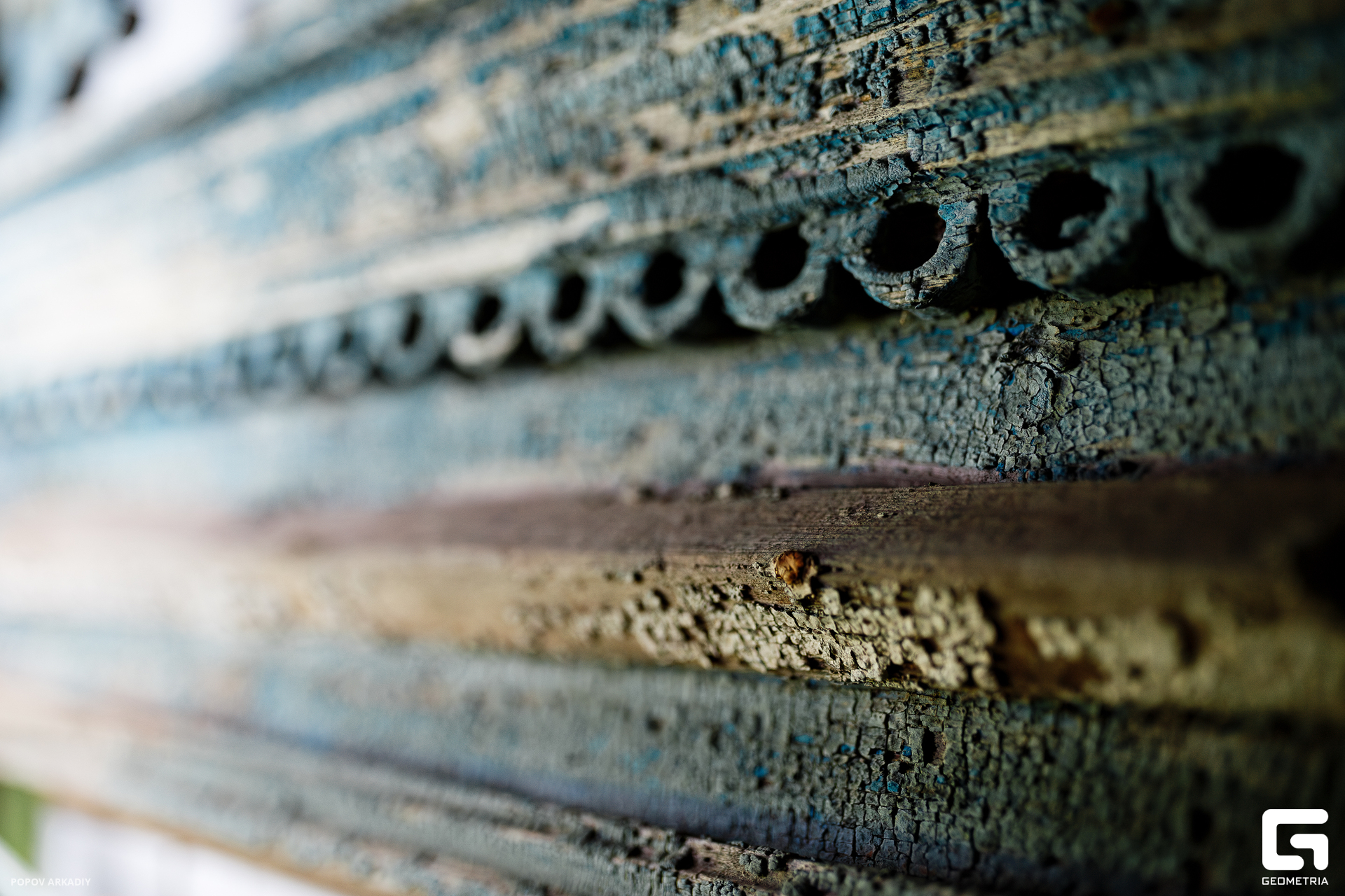 IMG_4516-Улучшено-Ум. шума.jpg