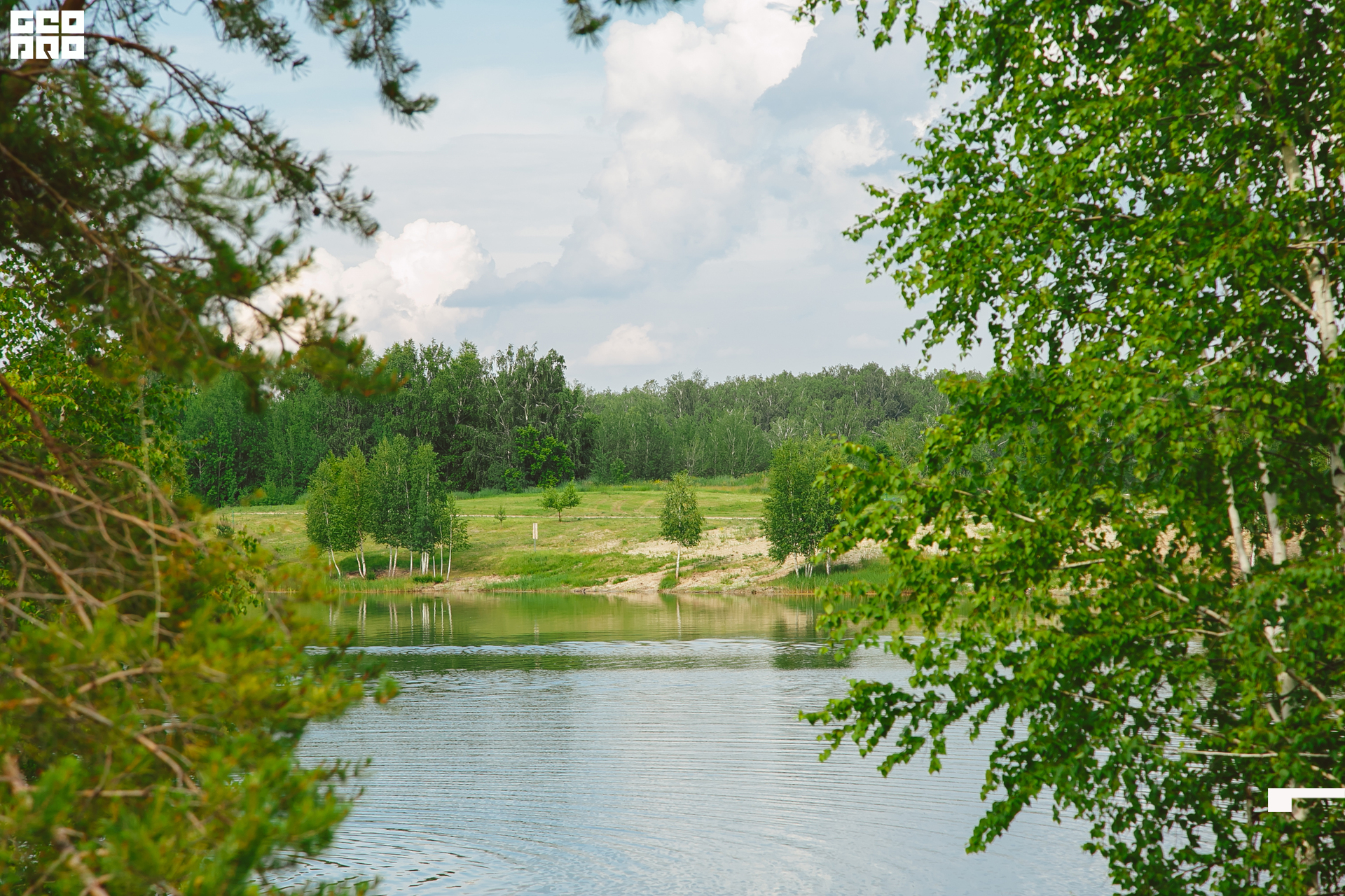 172  06192022  233628 .jpg