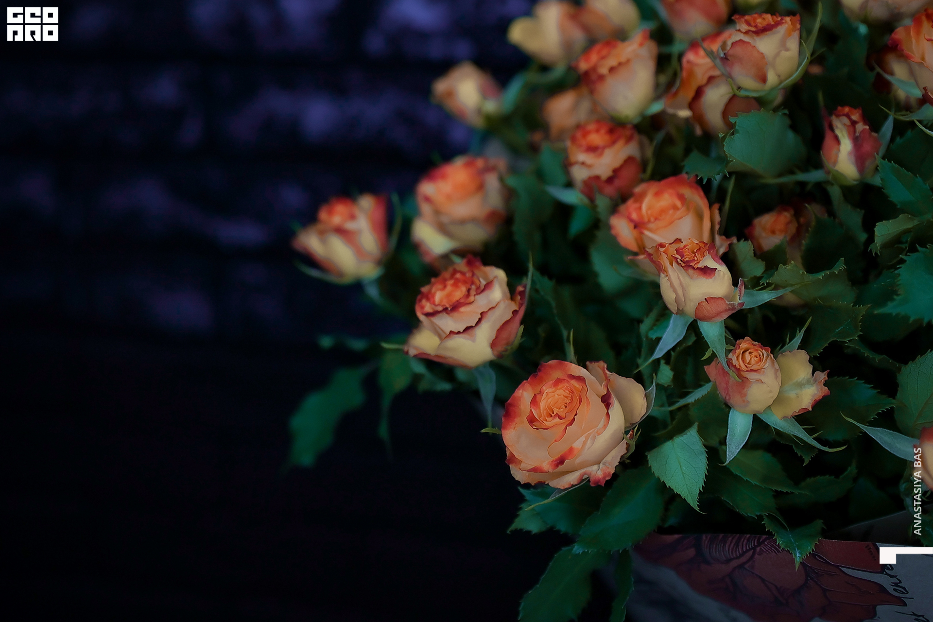 13.11.21. La Saison. Фотограф-ANASTASIYA BAS-646.jpg