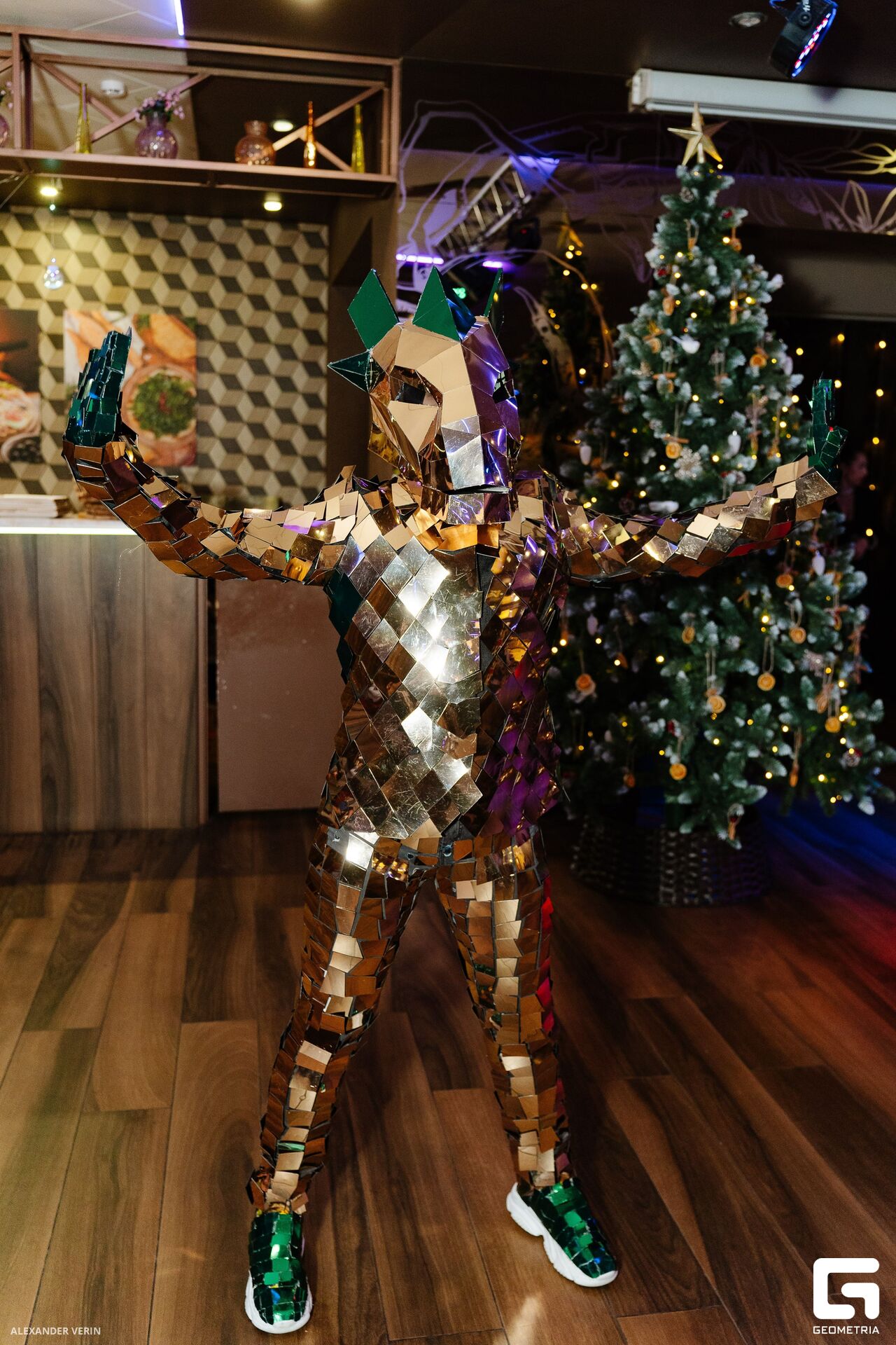 20241231 гранат 0133 AV101778.jpg