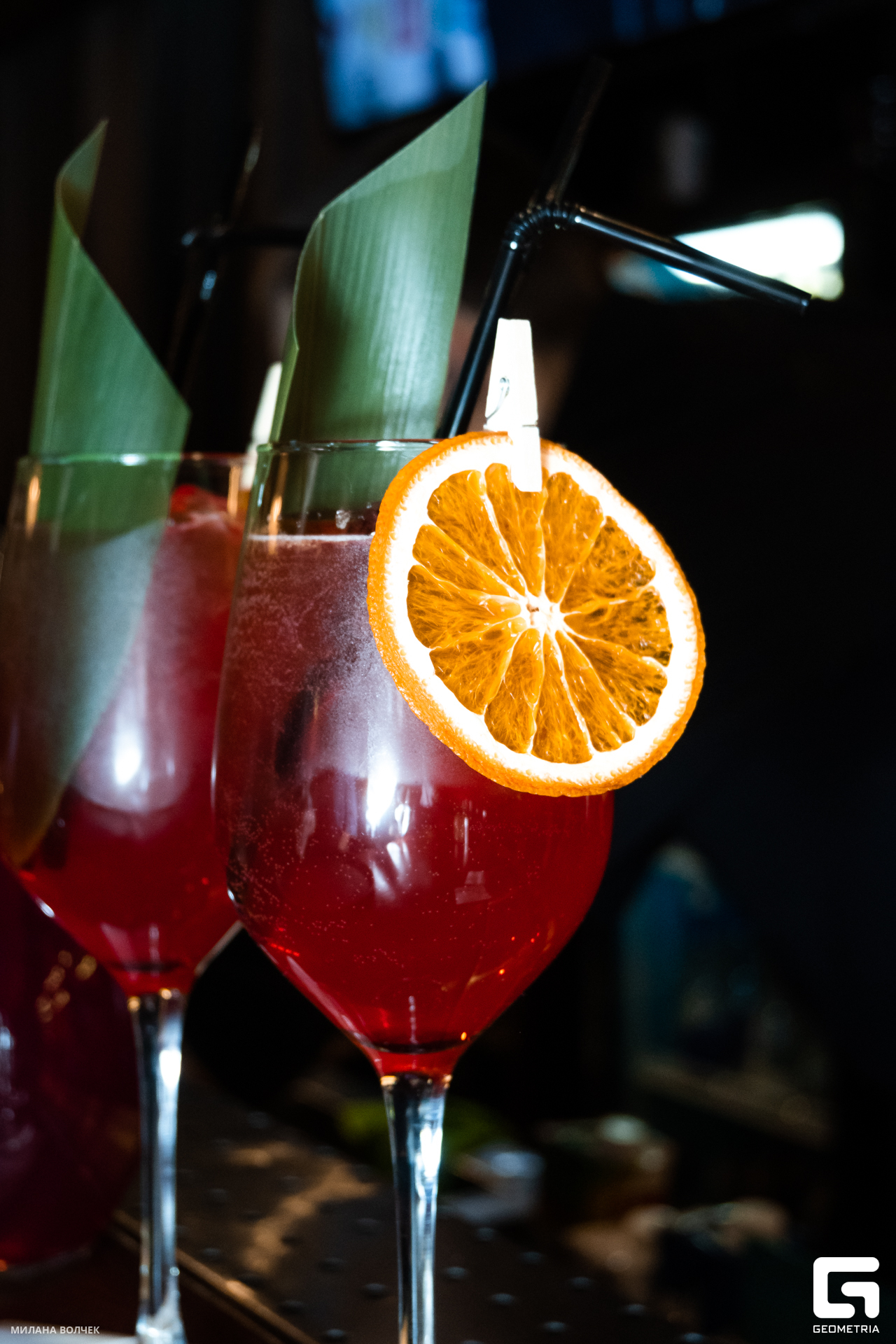 040_20231201 Волчек.jpg