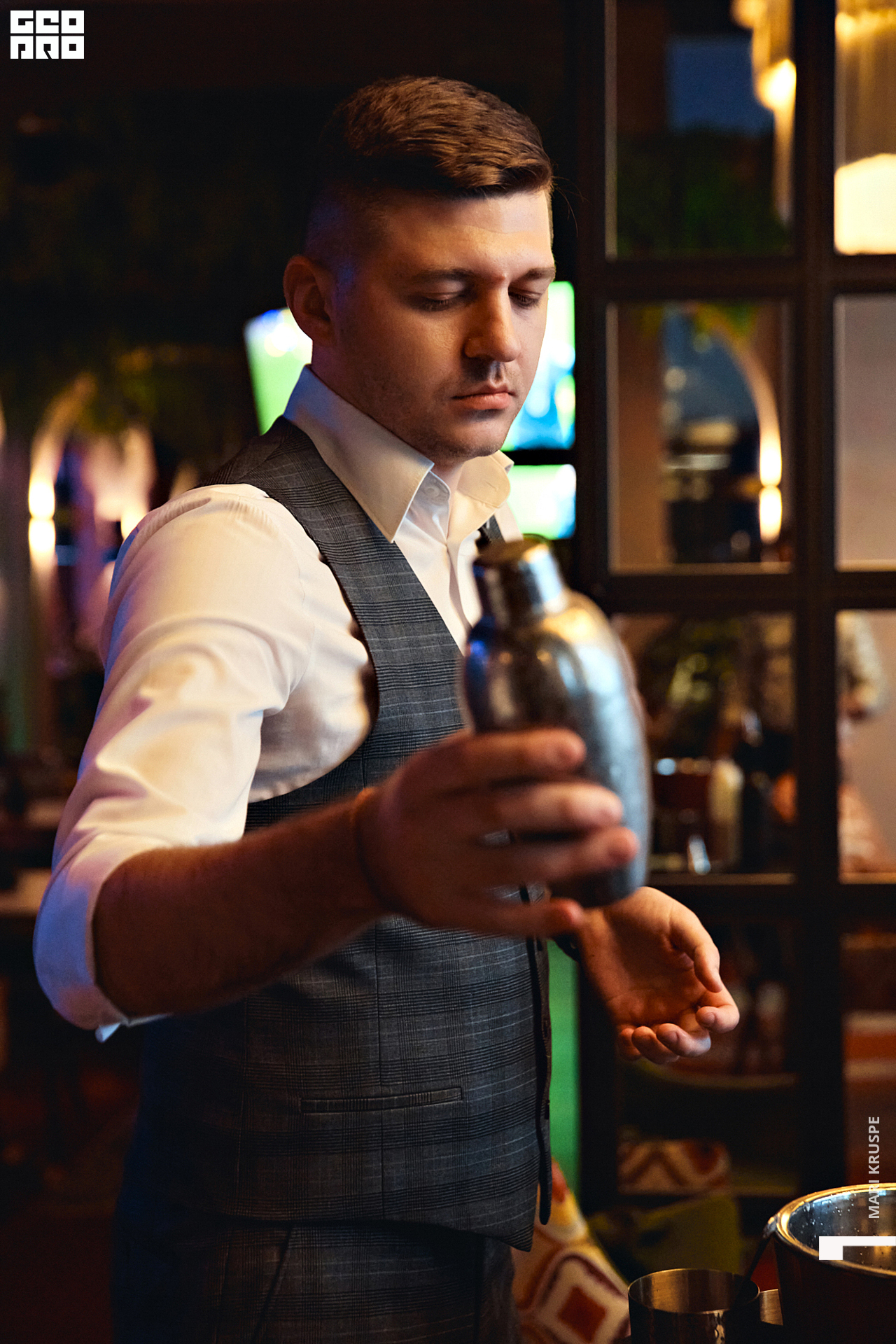 _ARI1408 копия.jpg