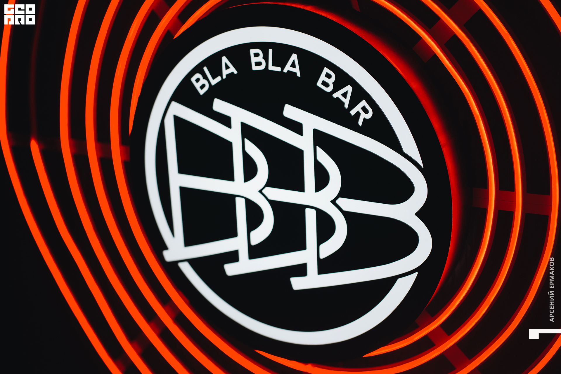 133 2022-10-16-012945_arseniyermakov.jpg