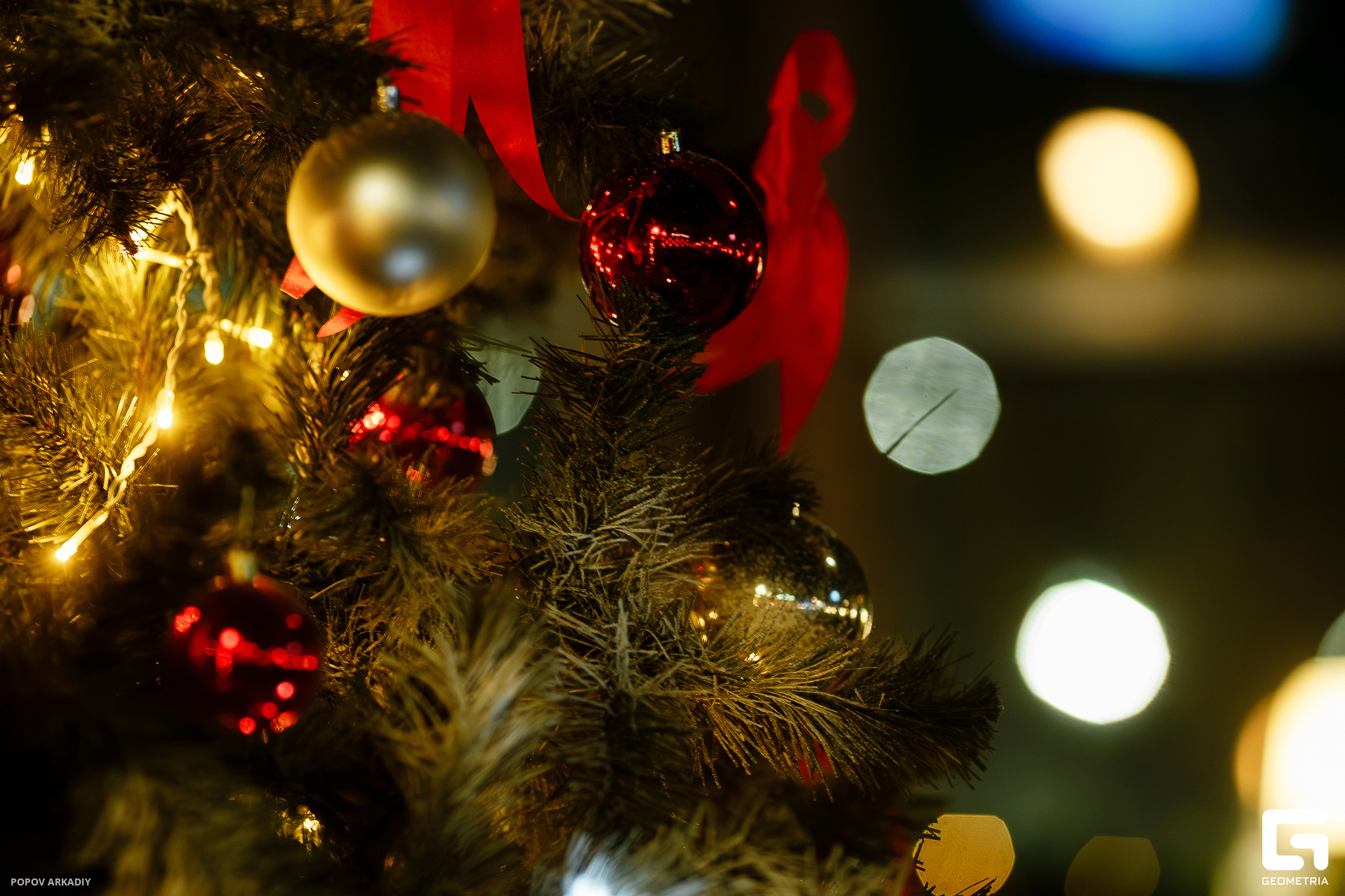 IMG_8306-Улучшено-Ум. шума.jpg