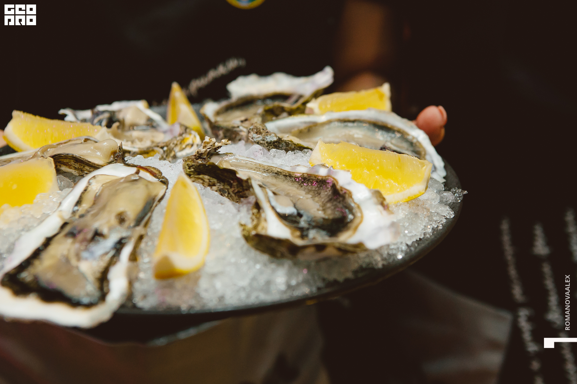 080 311022  014208 @romanovaalex.jpg