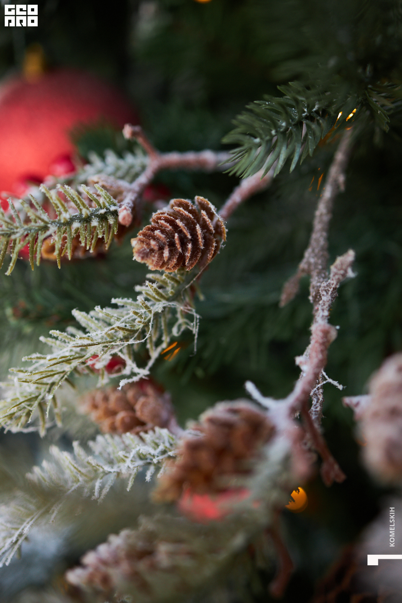 032-2022_12_03-14-17-35 - Komelskih.jpg