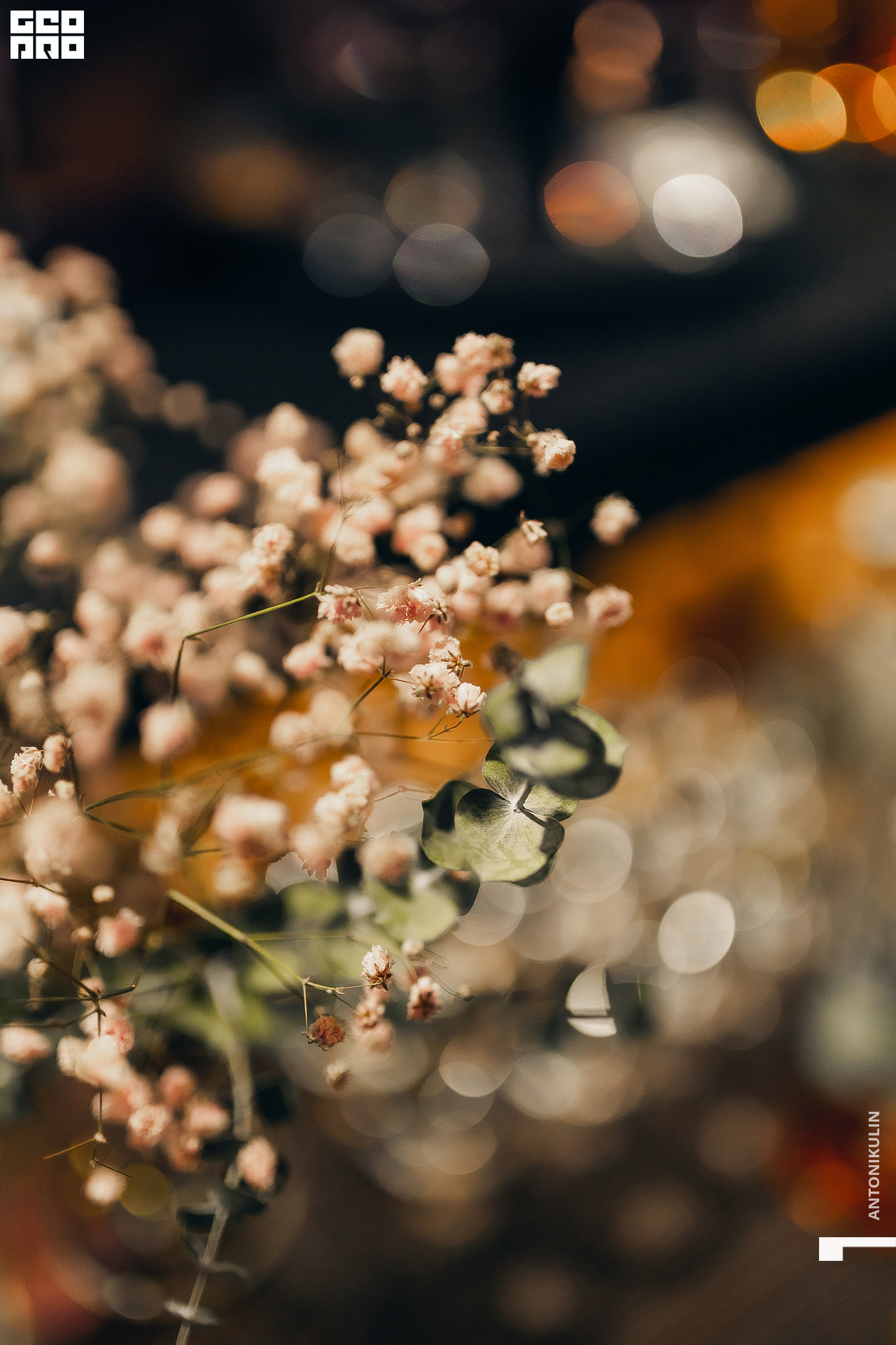 untitled shoot-7502.jpg