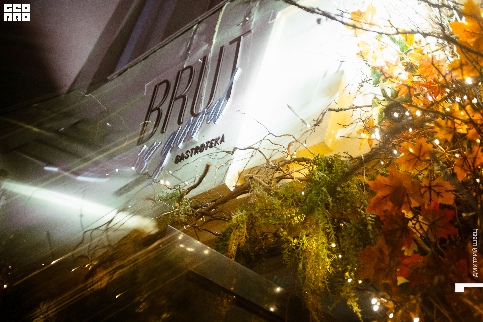 001  2021-11-05 20-11-11 Shvets_.jpg