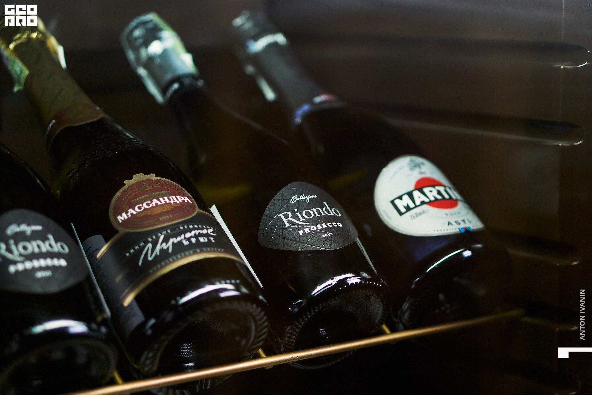 DSC07389 (Копировать).jpg