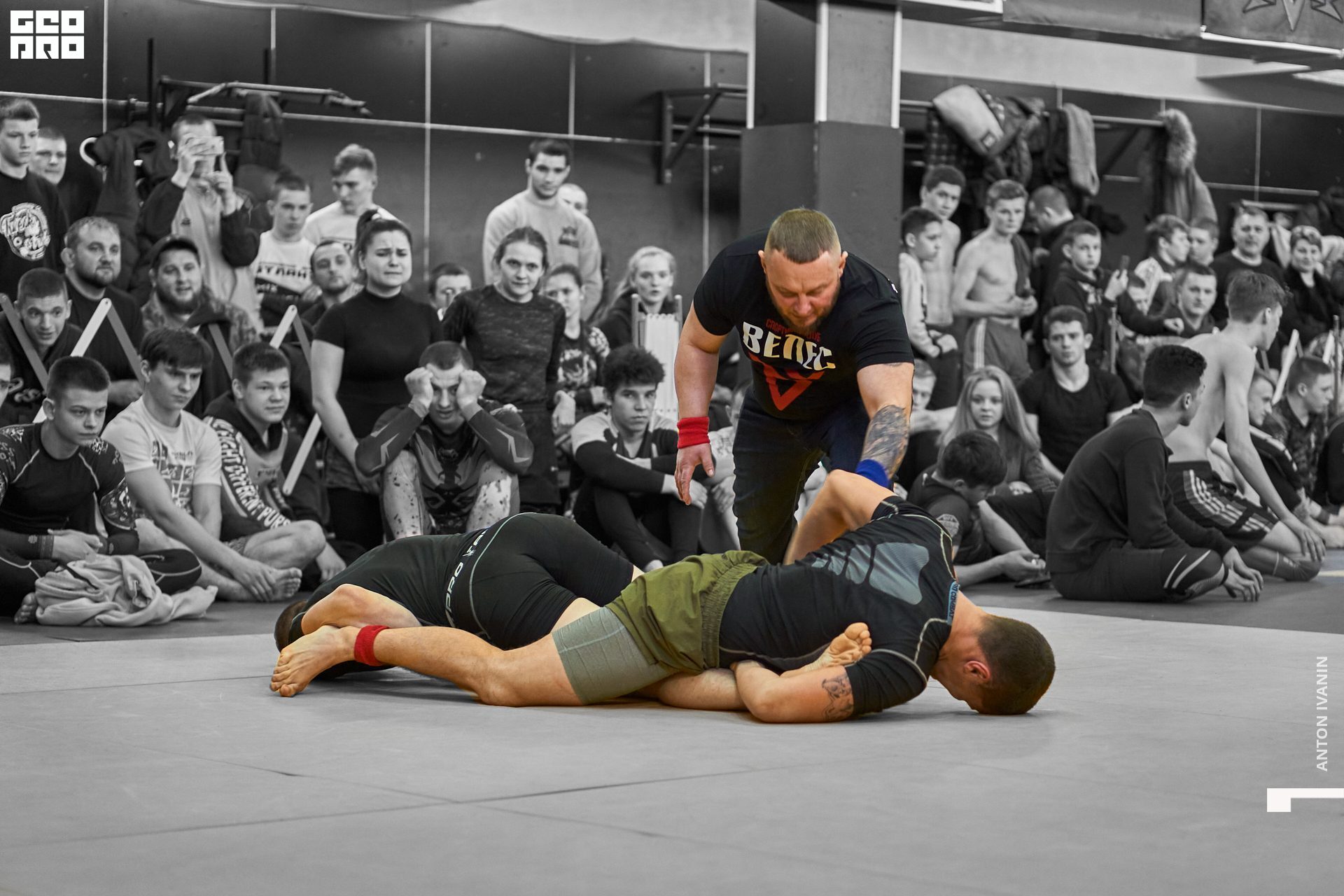 DSC08770 (Копировать).jpg