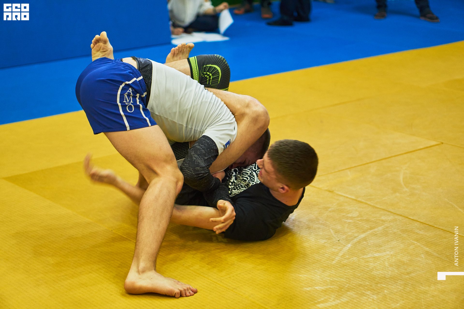 DSC00033 (Копировать).jpg