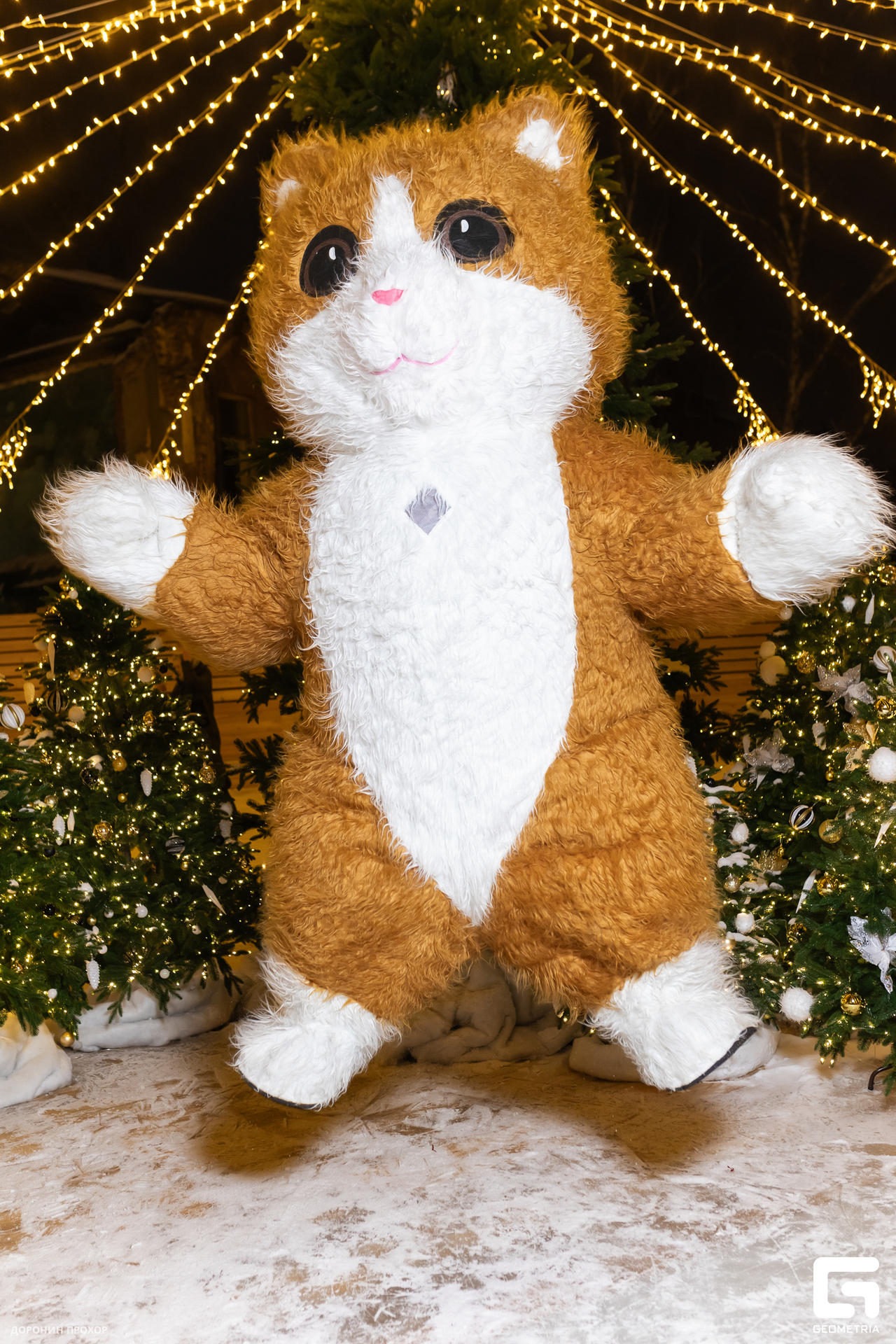 2023.12.27 Каток 077.jpg