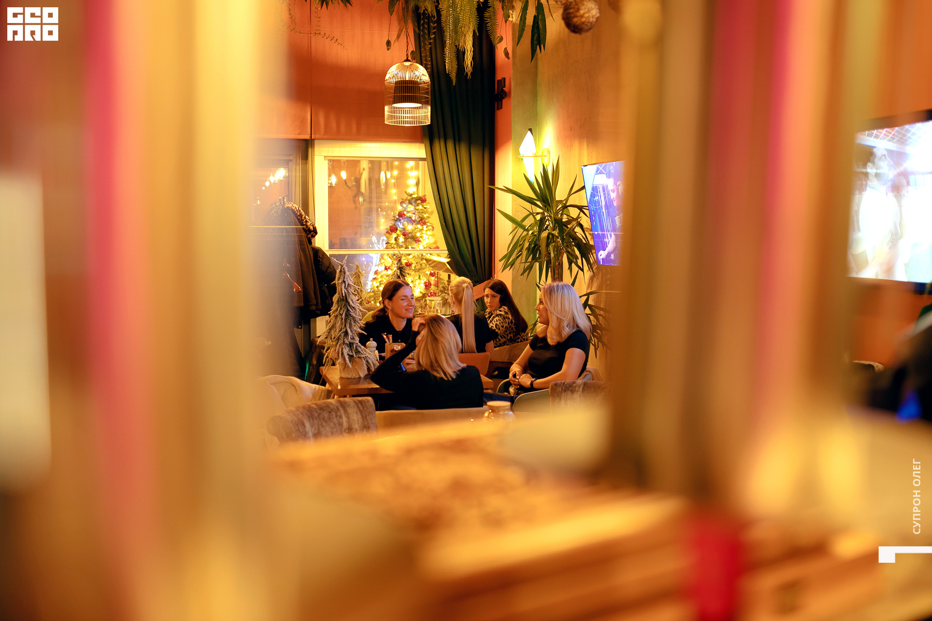 0N5A2496 копия.jpg