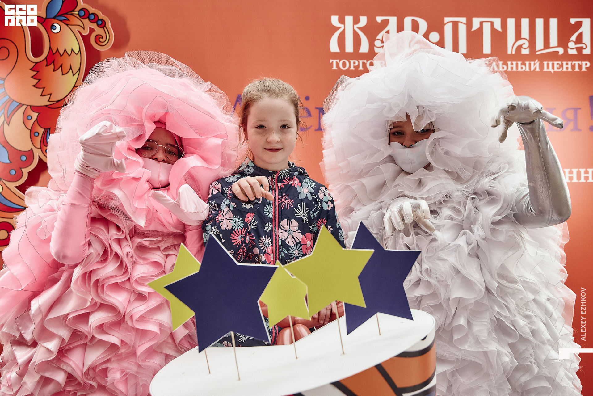 Жар_птица 147.jpg