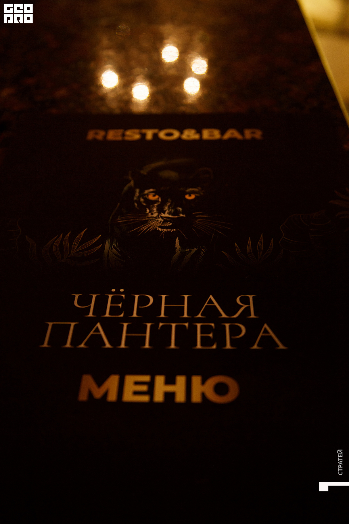 Открытие Resto &Bar Черная Пантера 18