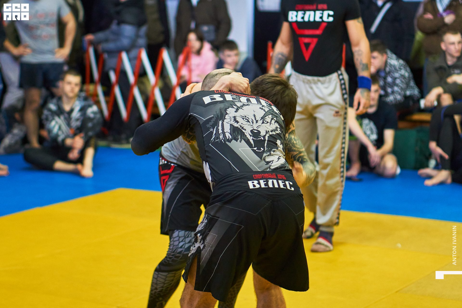 DSC09595 (Копировать).jpg