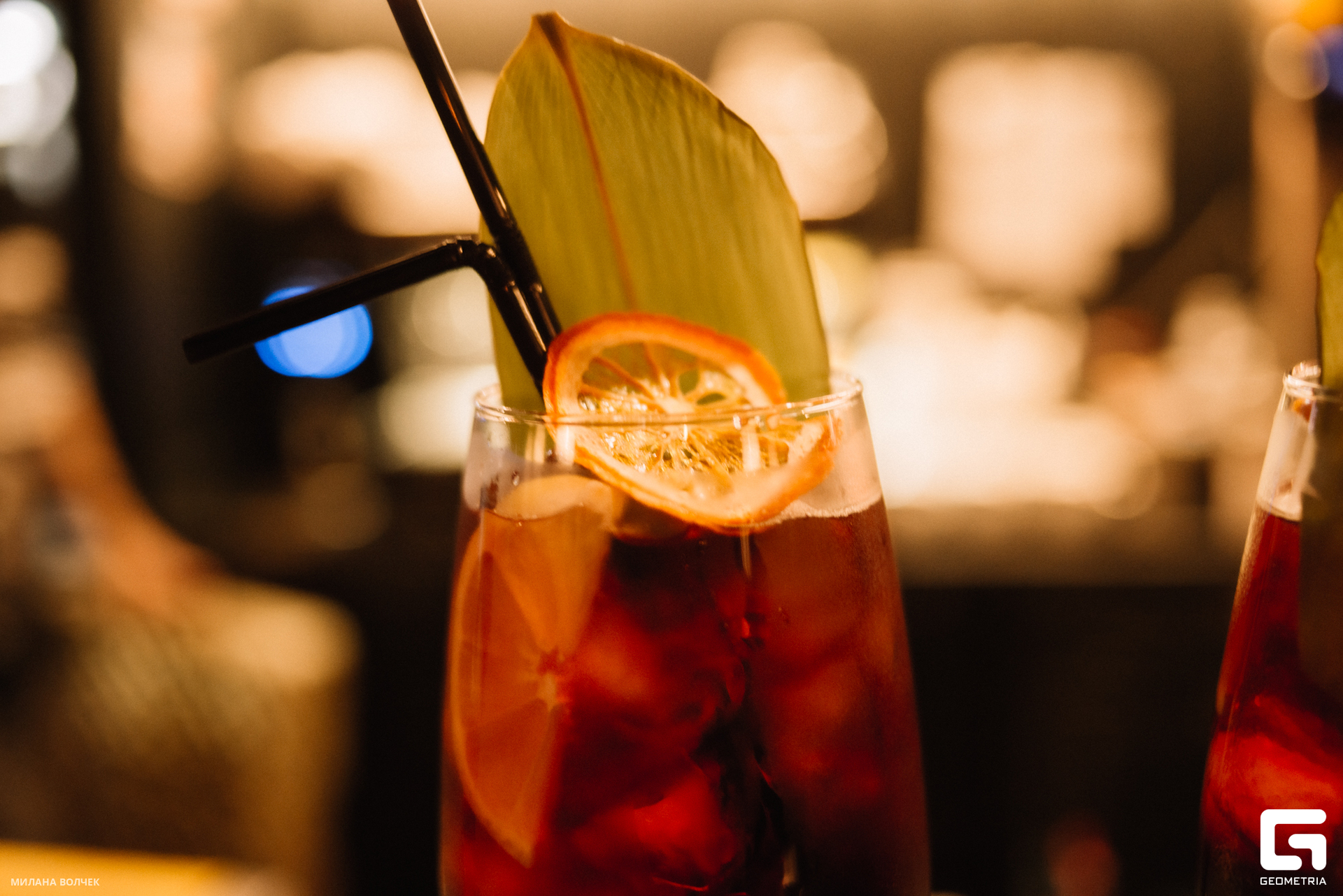 032_20230818 Волчек.jpg