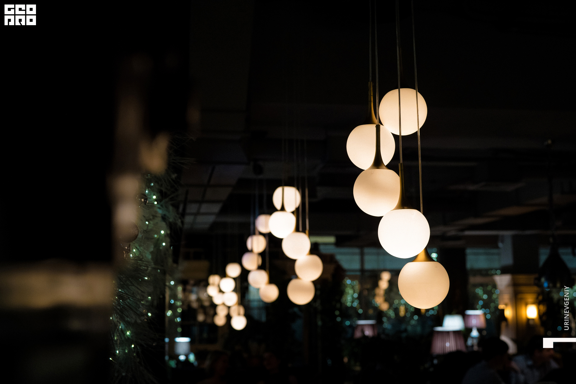 26.12.2020. Балерина и Бифштекс (30).jpg