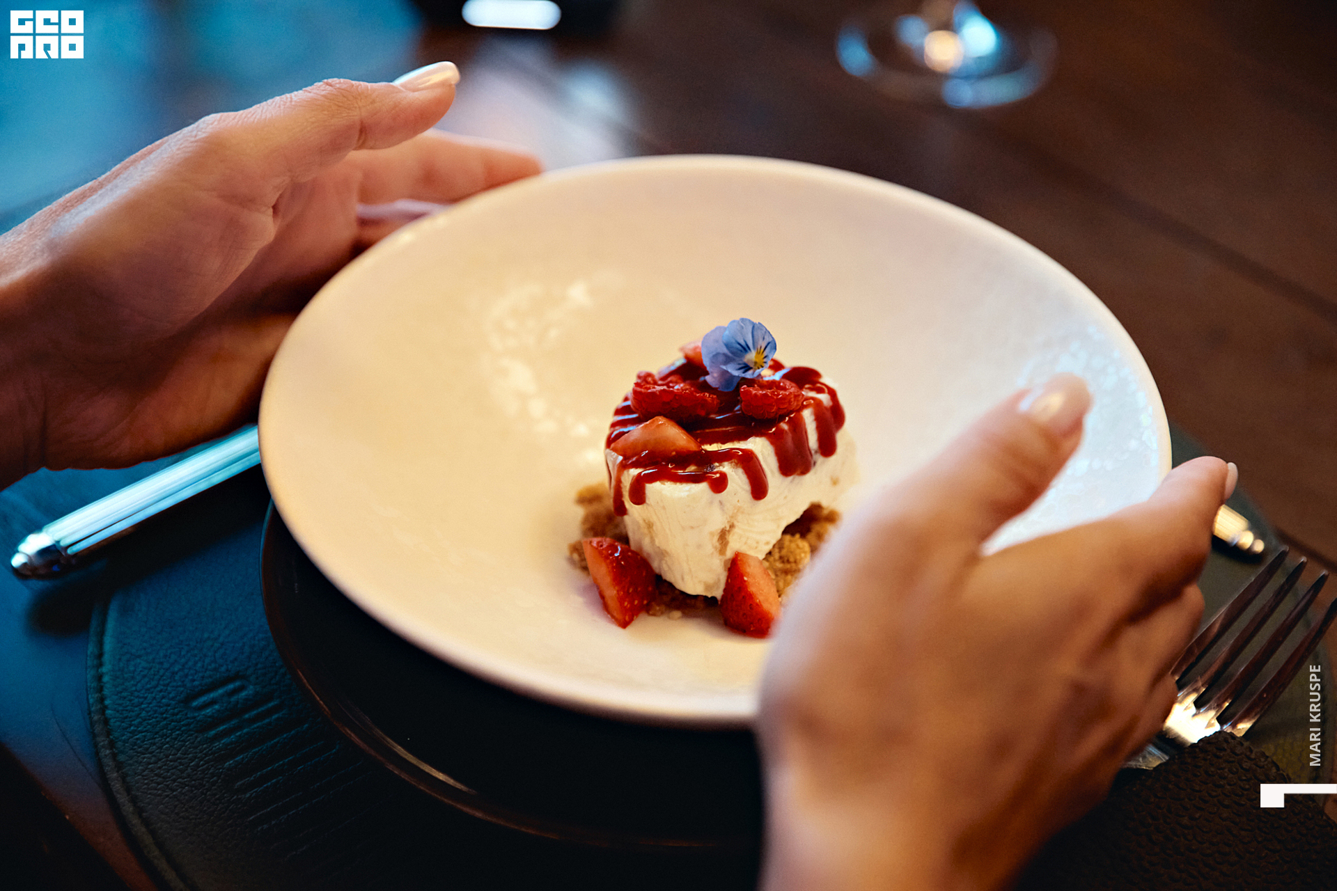 _ARI1388 копия.jpg