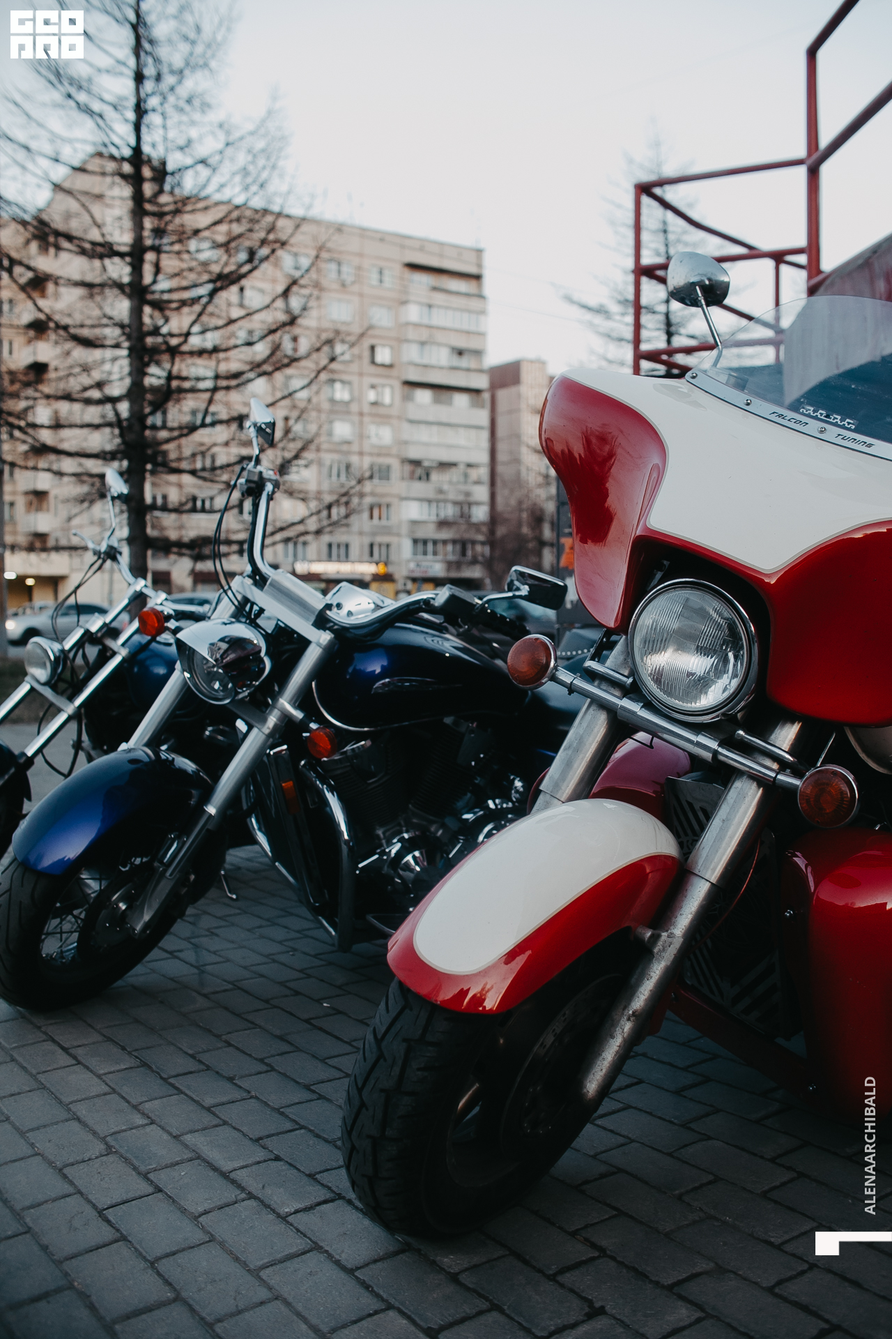 2022-04-22 20-16-56_alenaarchibald003.JPG