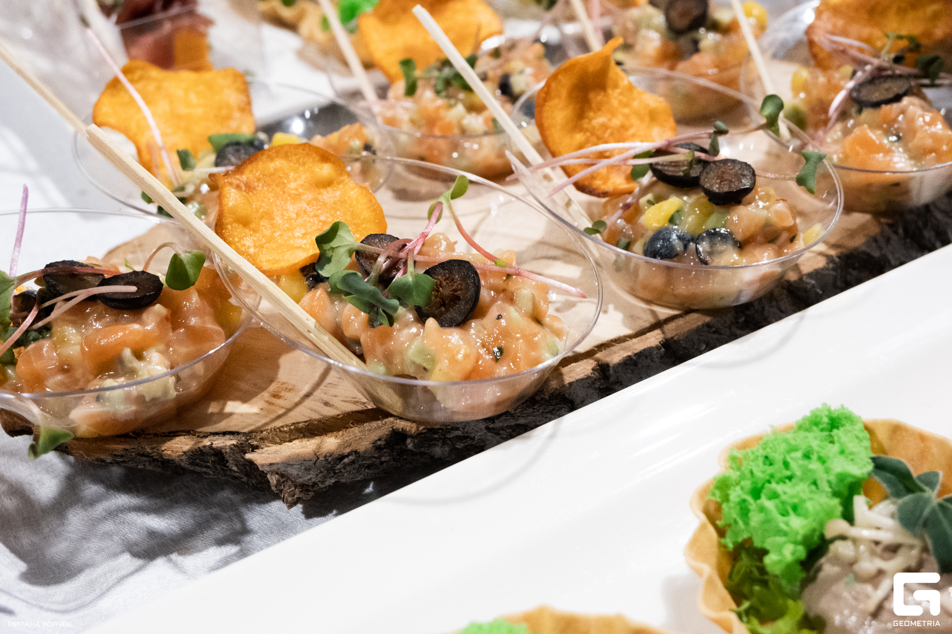 019_20231111 Волчек.jpg