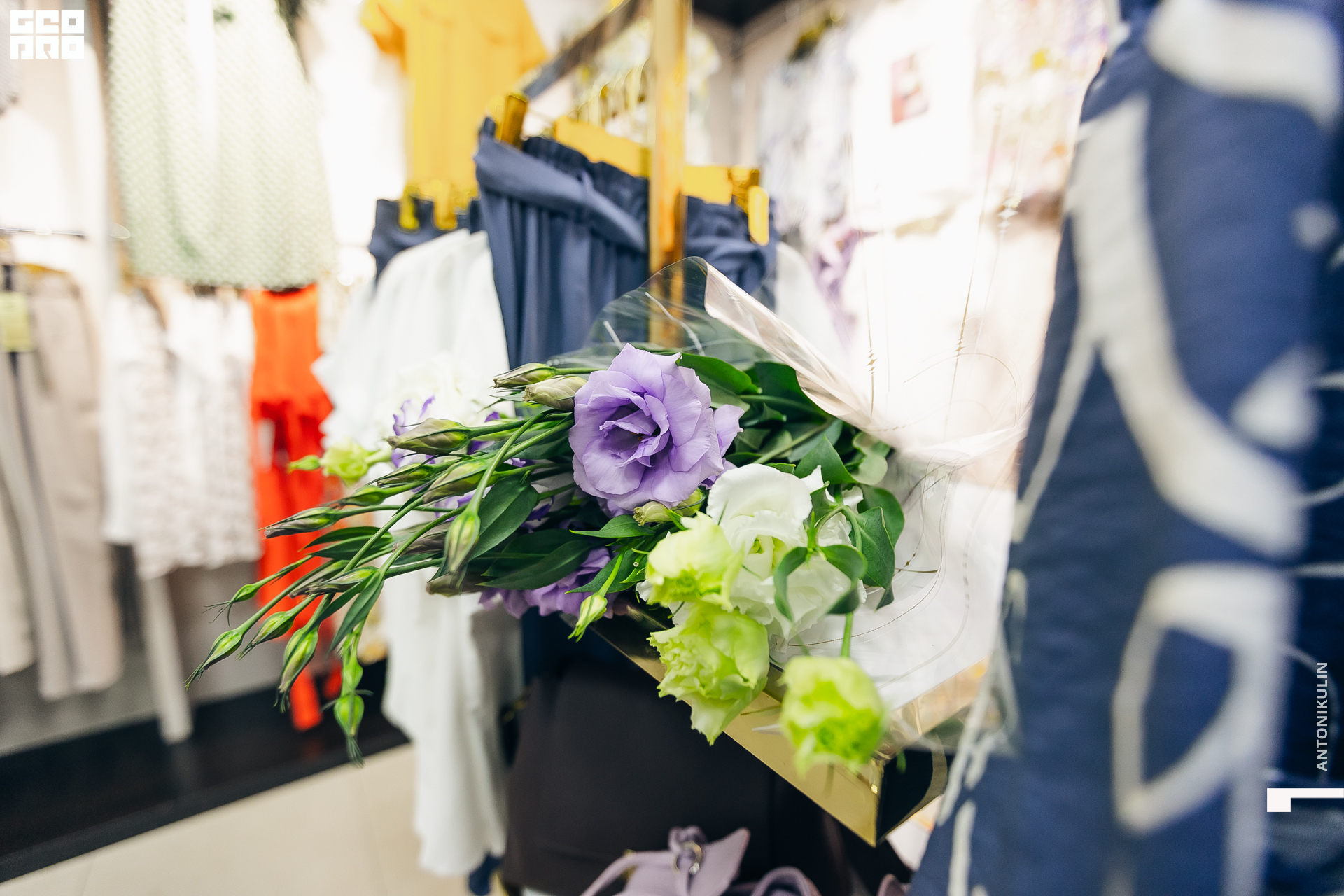 untitled shoot-4833.jpg