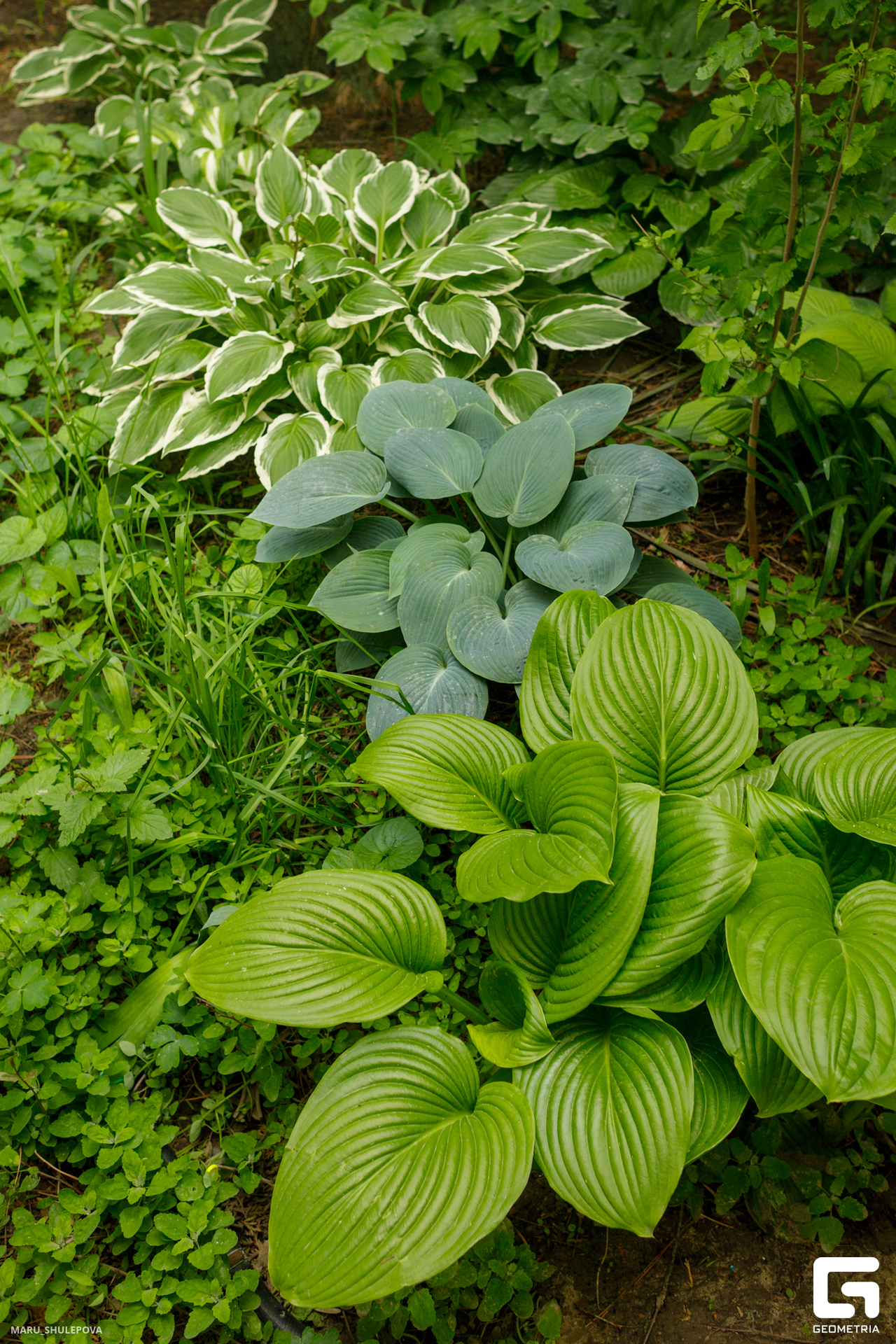 домик мечты-269.jpg