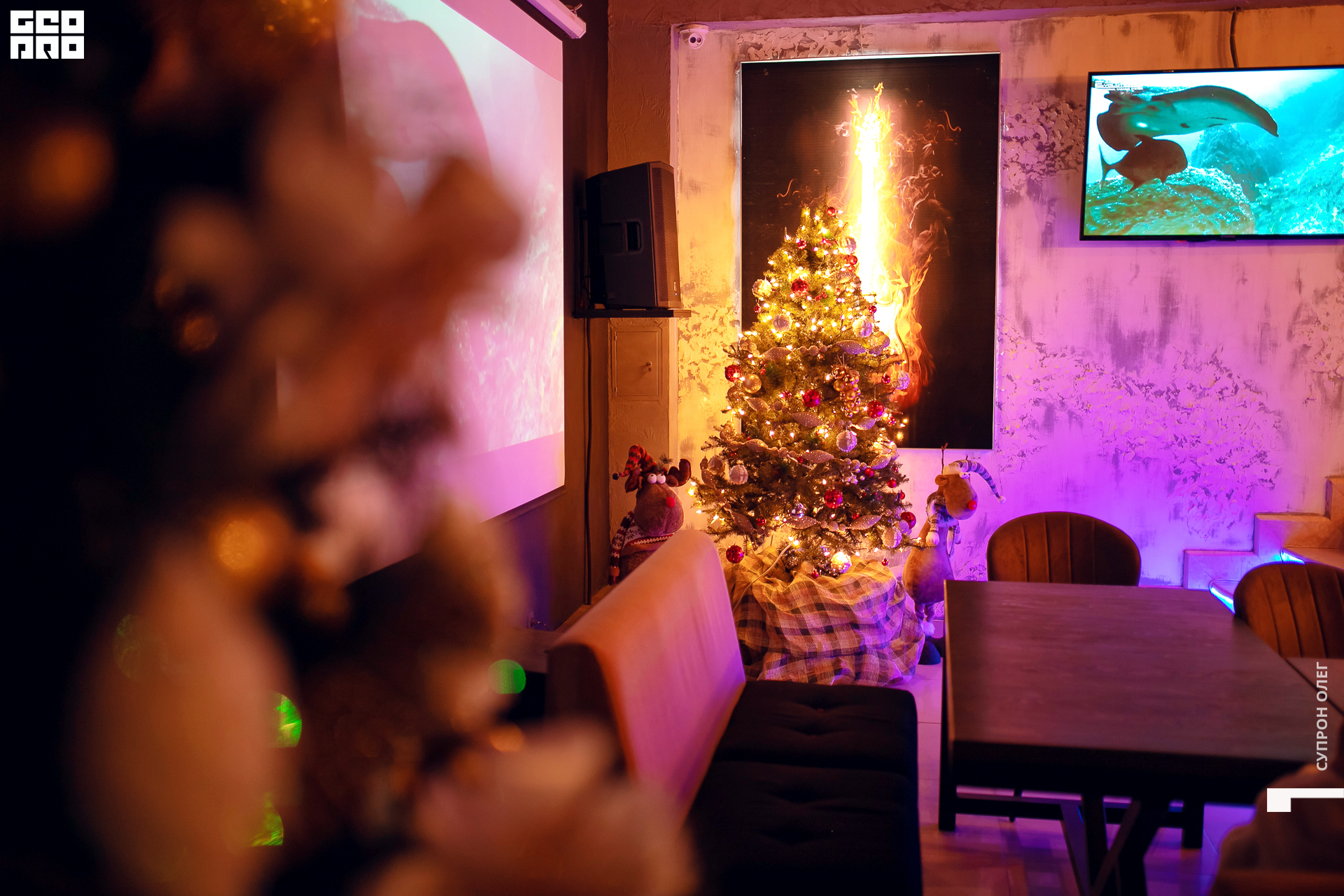 IMG_4235 копия.jpg