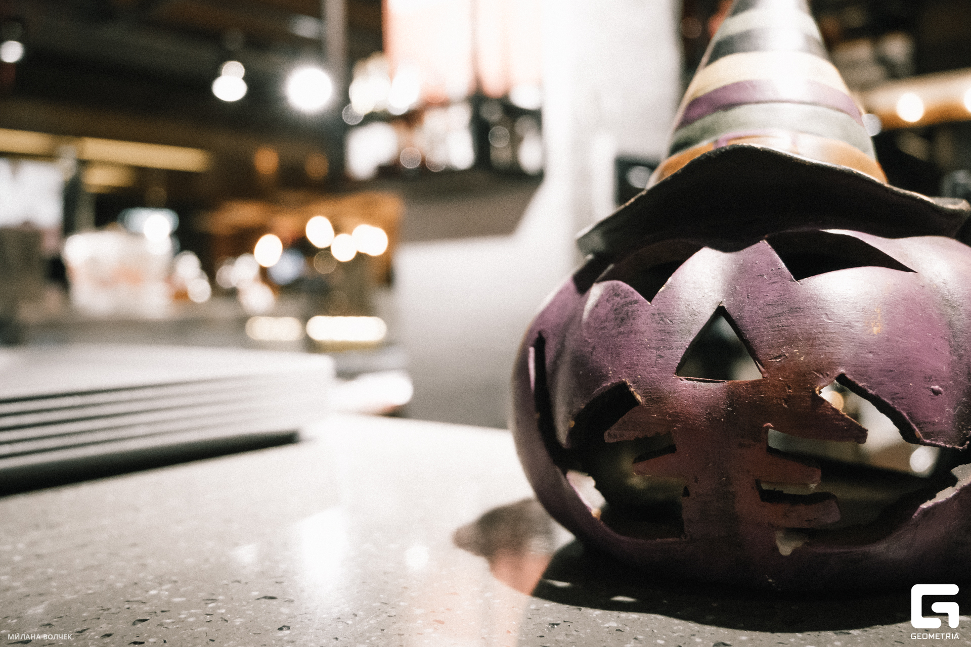 038_20231028 Волчек.jpg