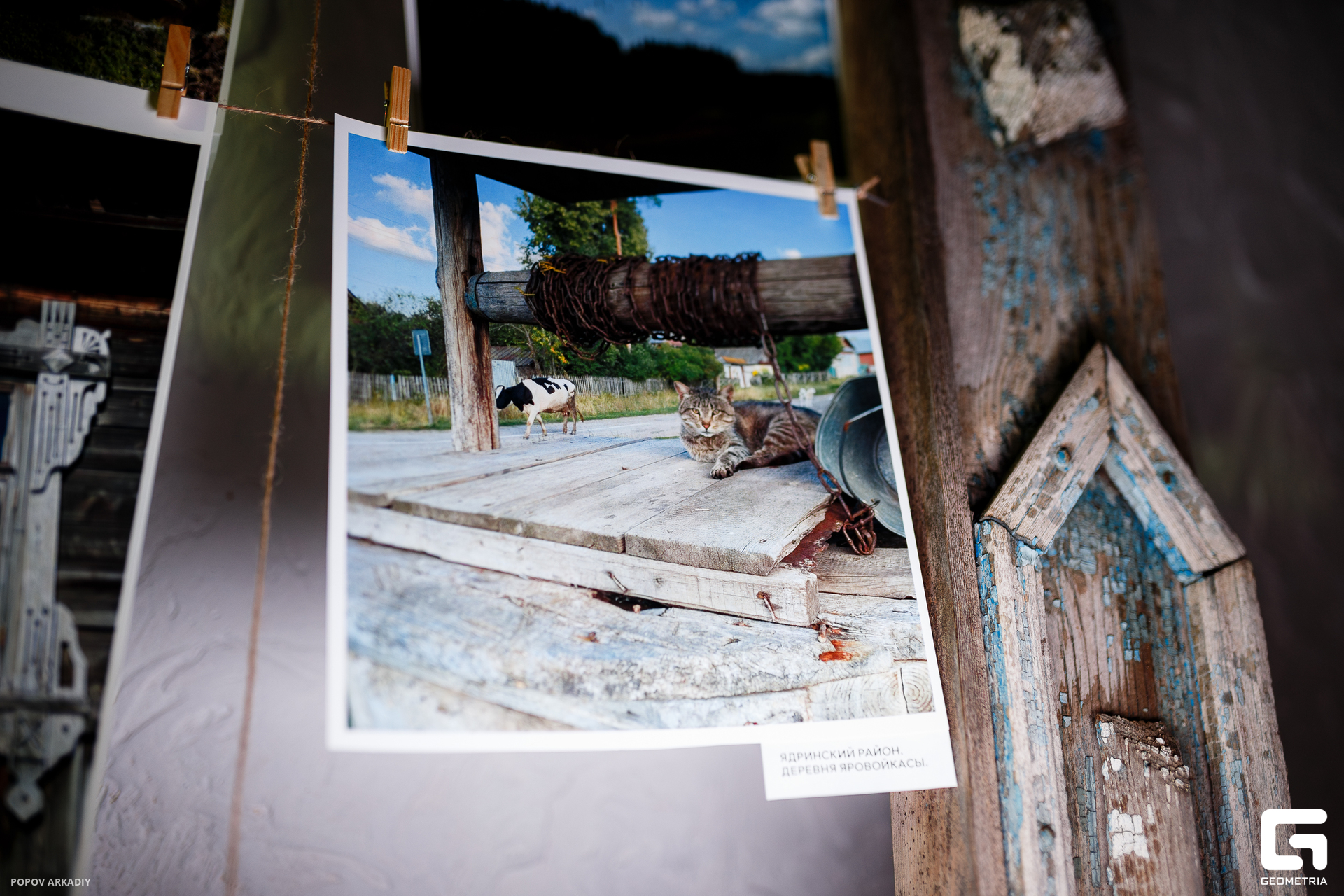 IMG_4522-Улучшено-Ум. шума.jpg