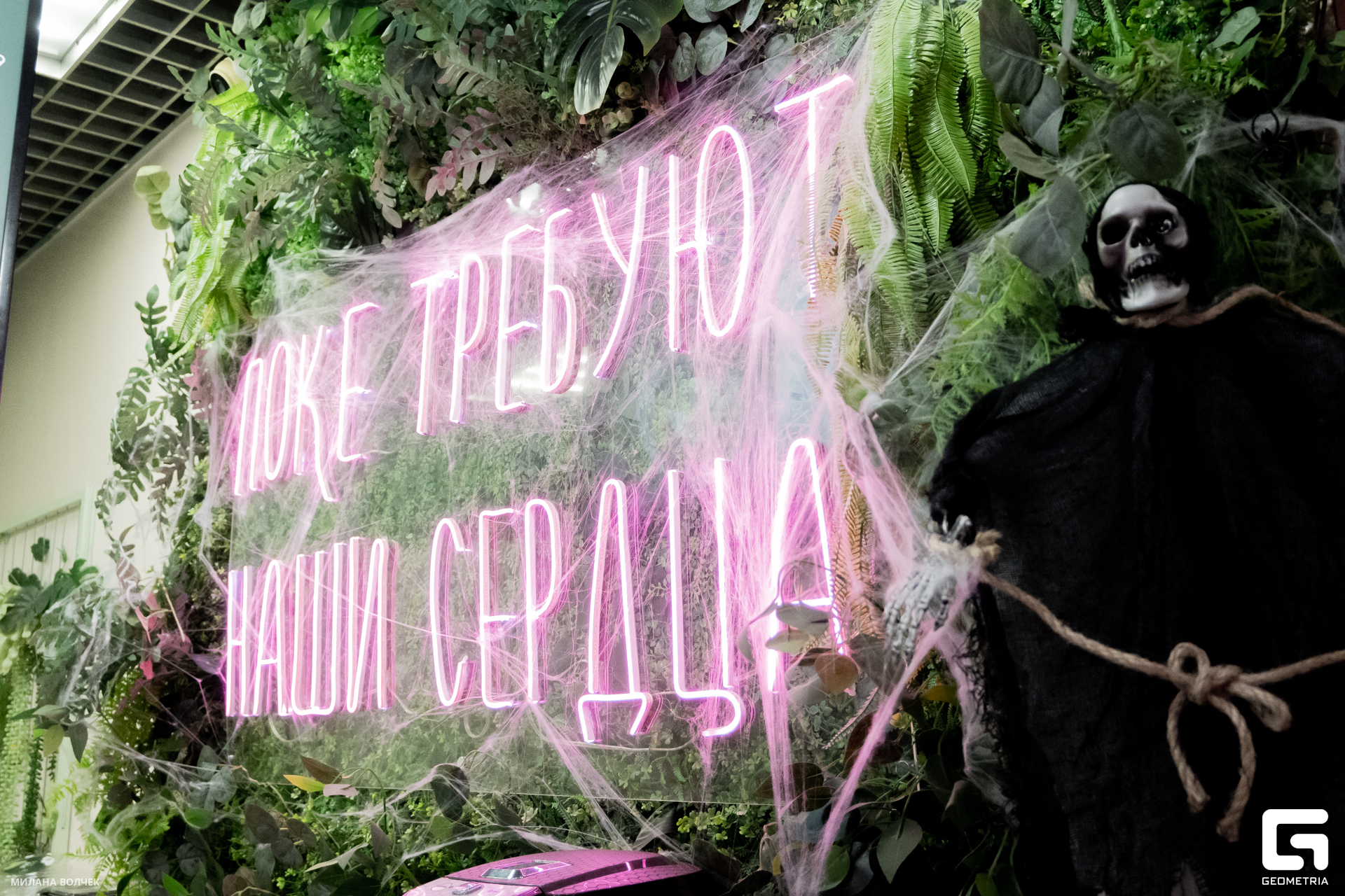 096_20231028 Волчек.jpg