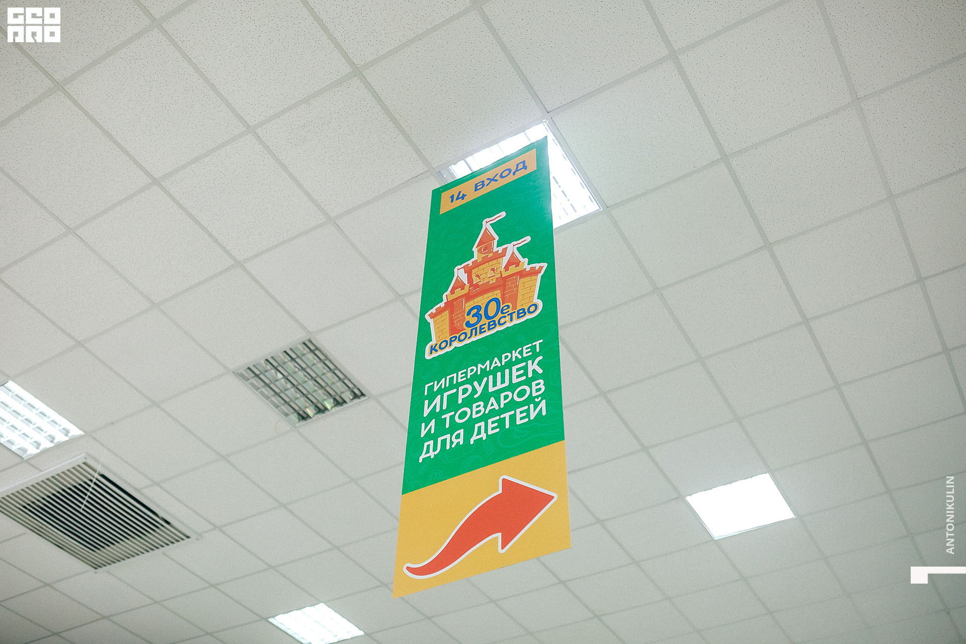 untitled shoot-6456.jpg