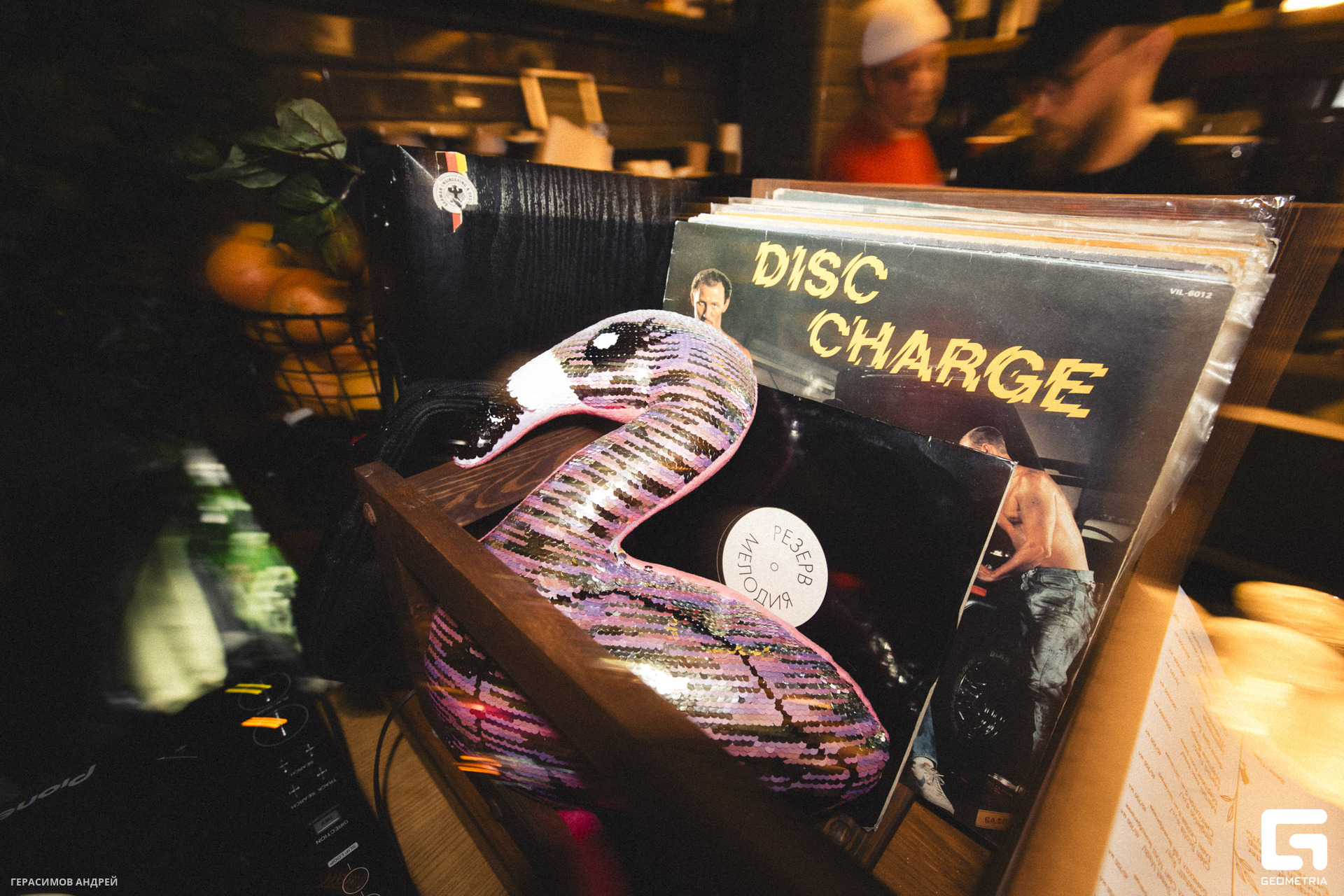 092 Свиристели 5. 04.jpg