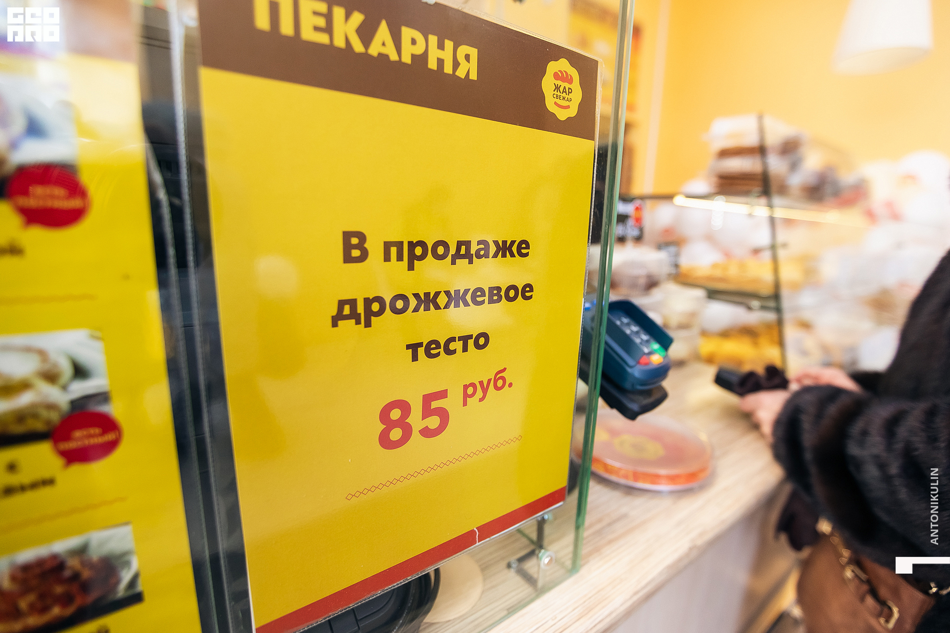 untitled shoot-9864.jpg