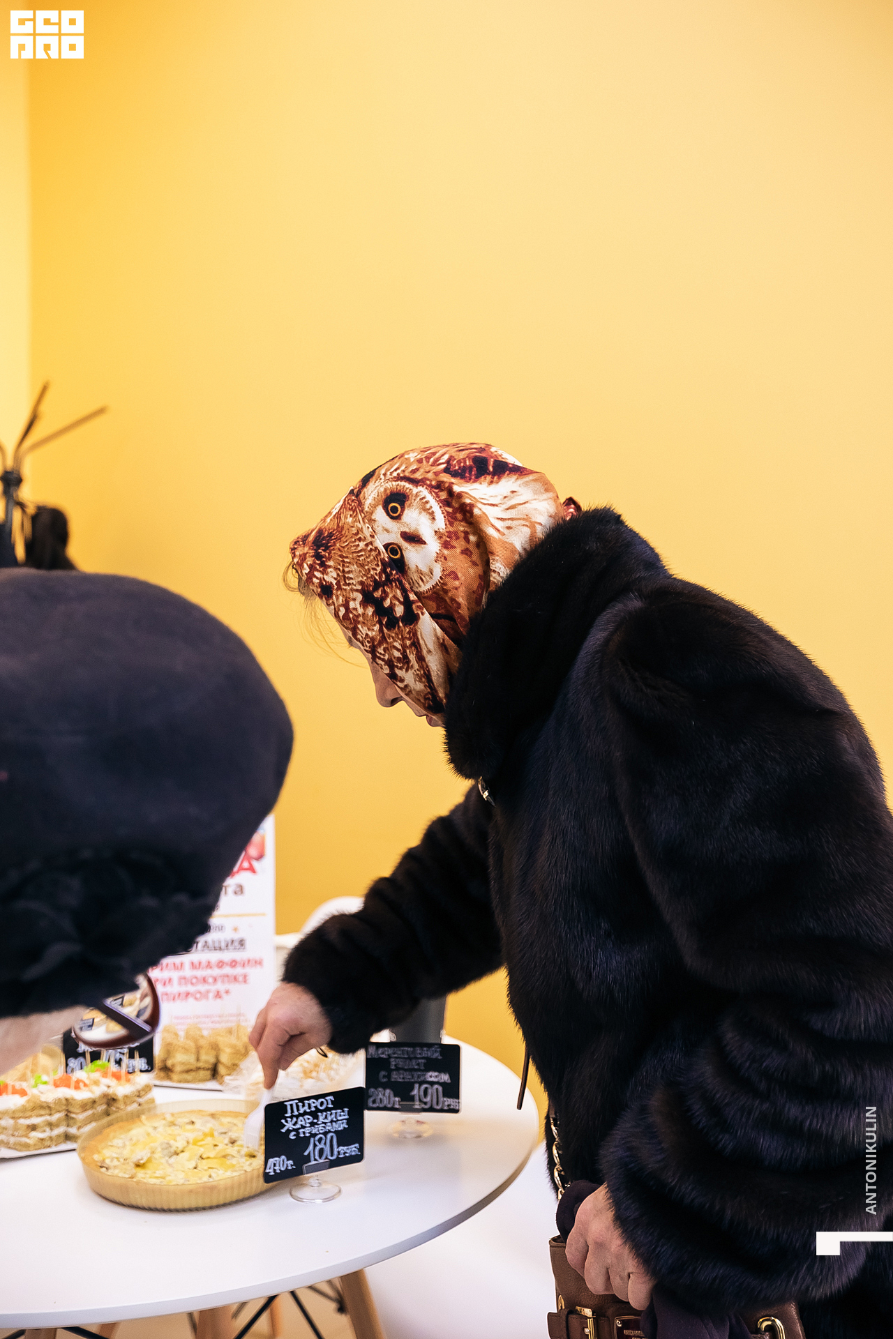 untitled shoot-9900.jpg