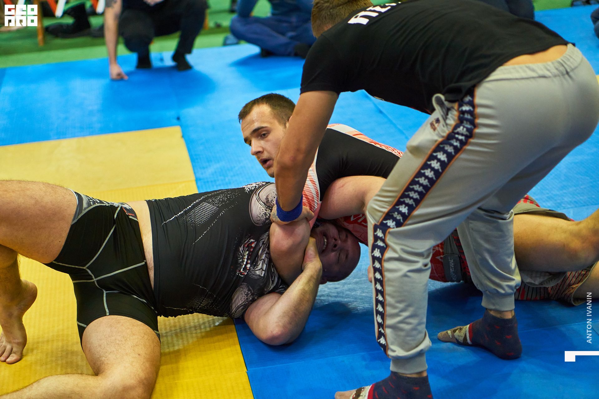 DSC00097 (Копировать).jpg