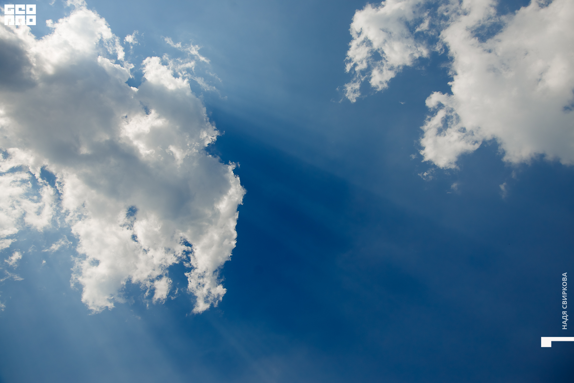 310_22-07-09 ISAEVA.jpg