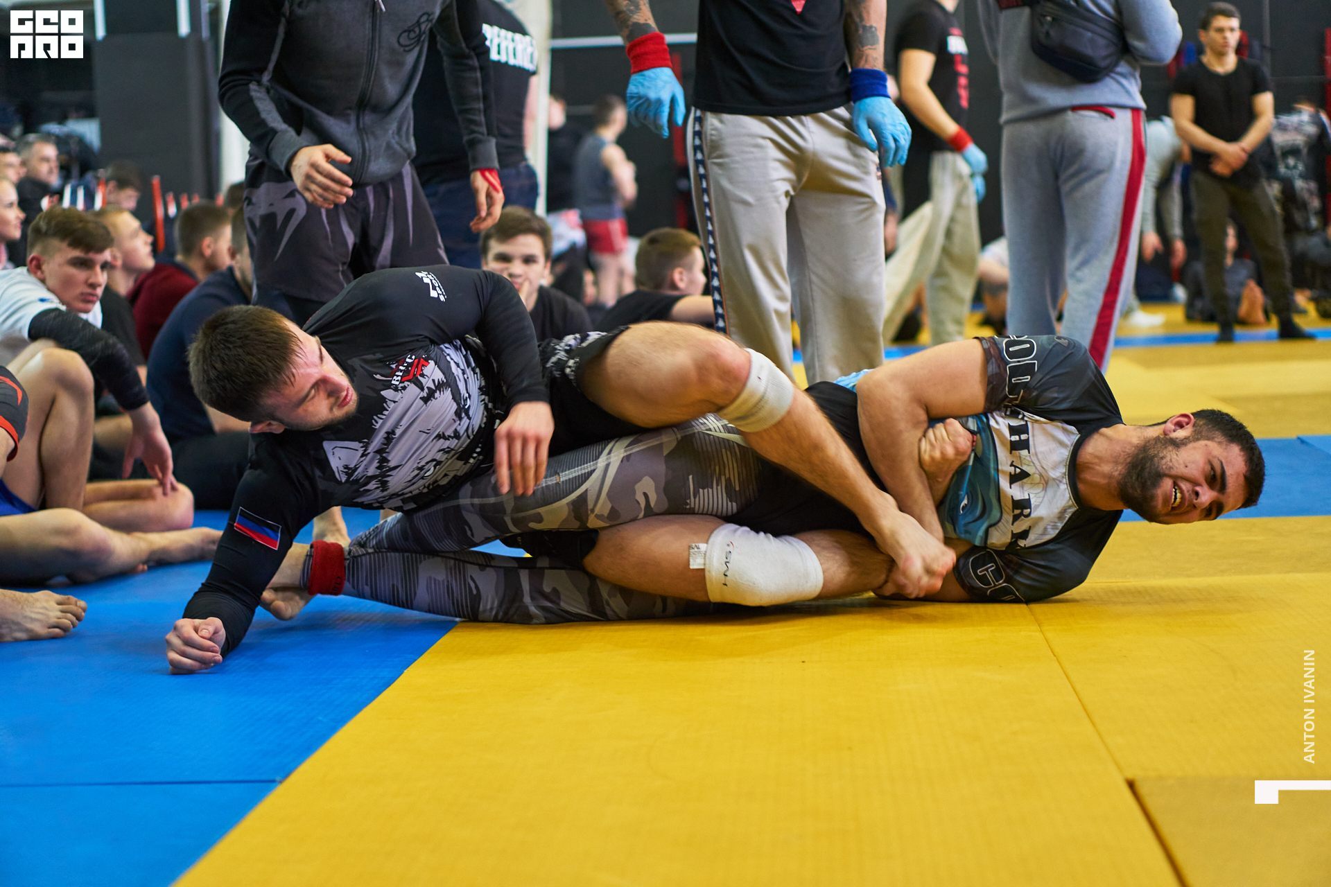 DSC09406_1 (Копировать).jpg