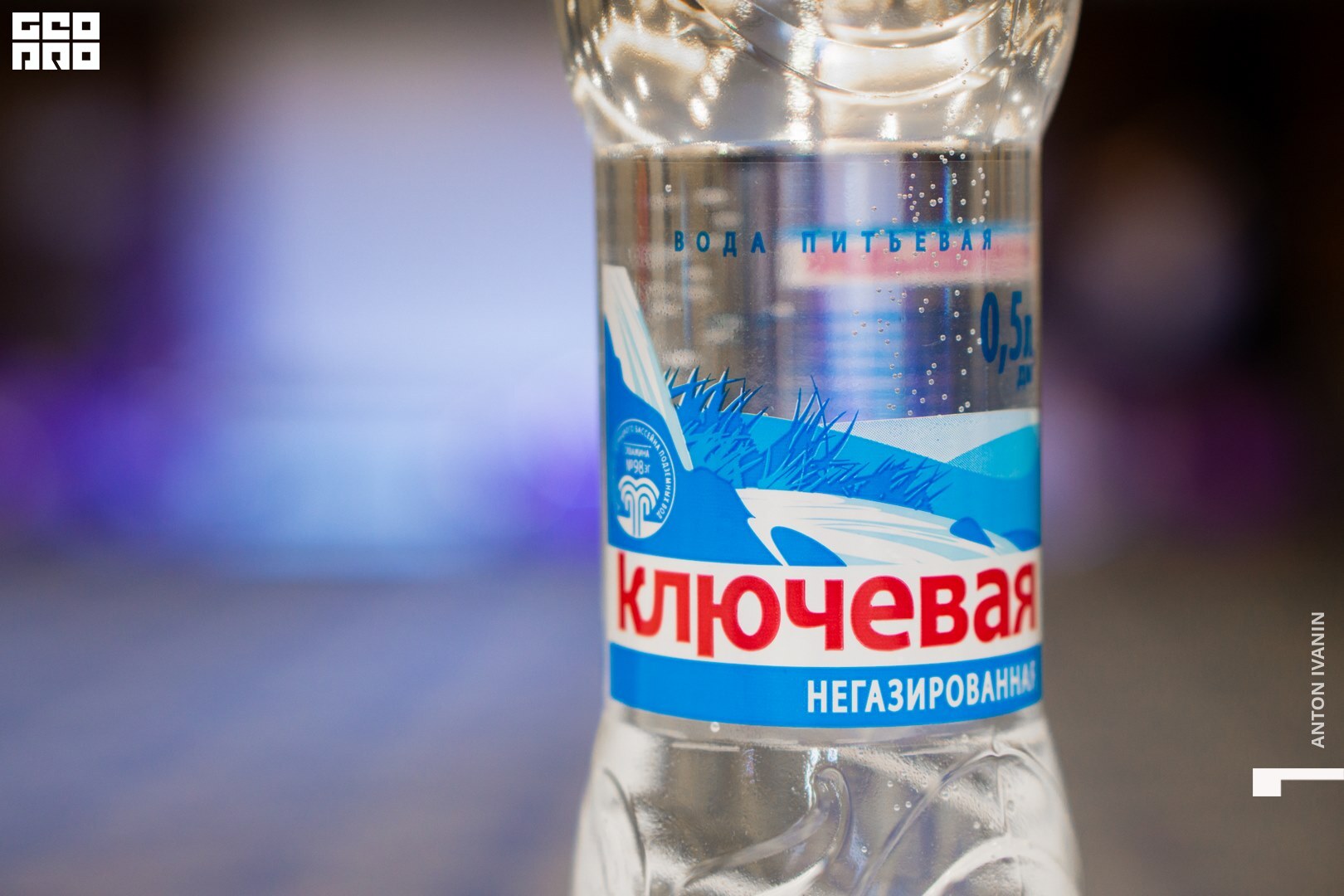 DSC00017 (Копировать).jpg