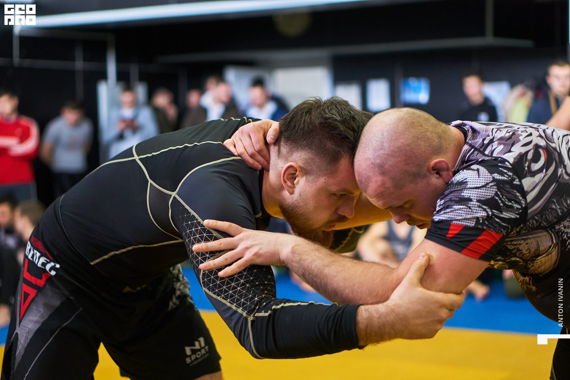 DSC09194 (Копировать).jpg